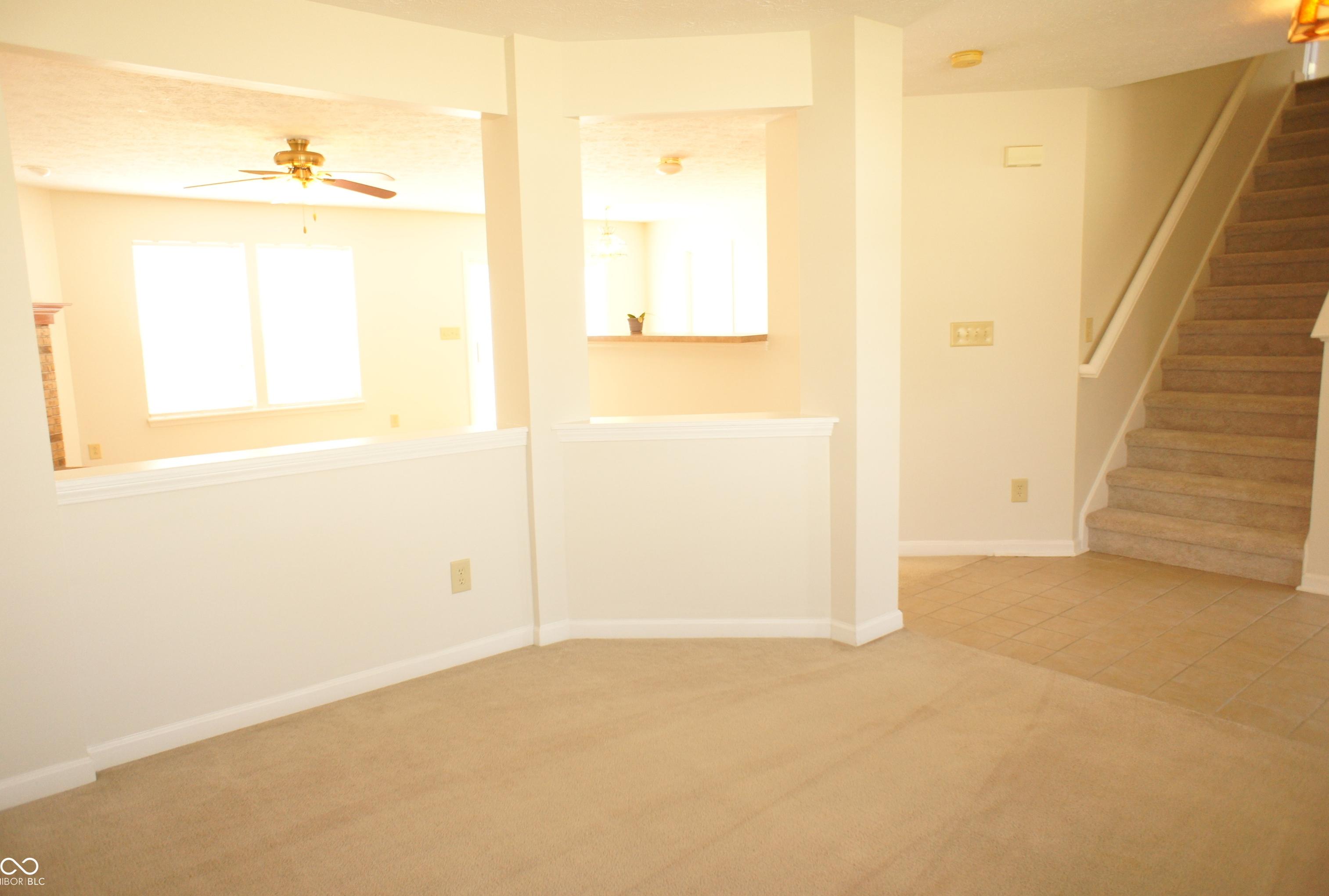 Photo #13