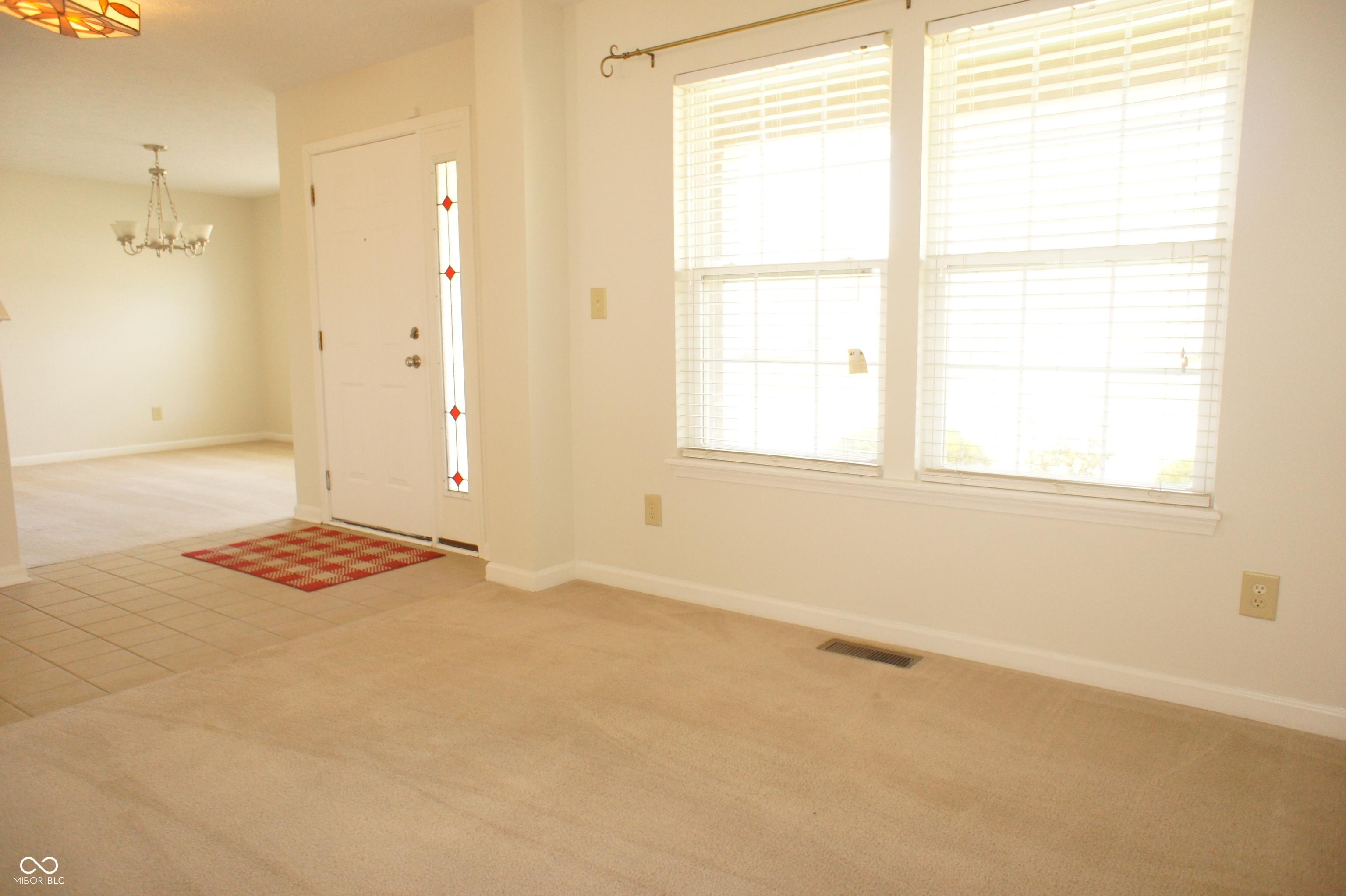 Photo #4