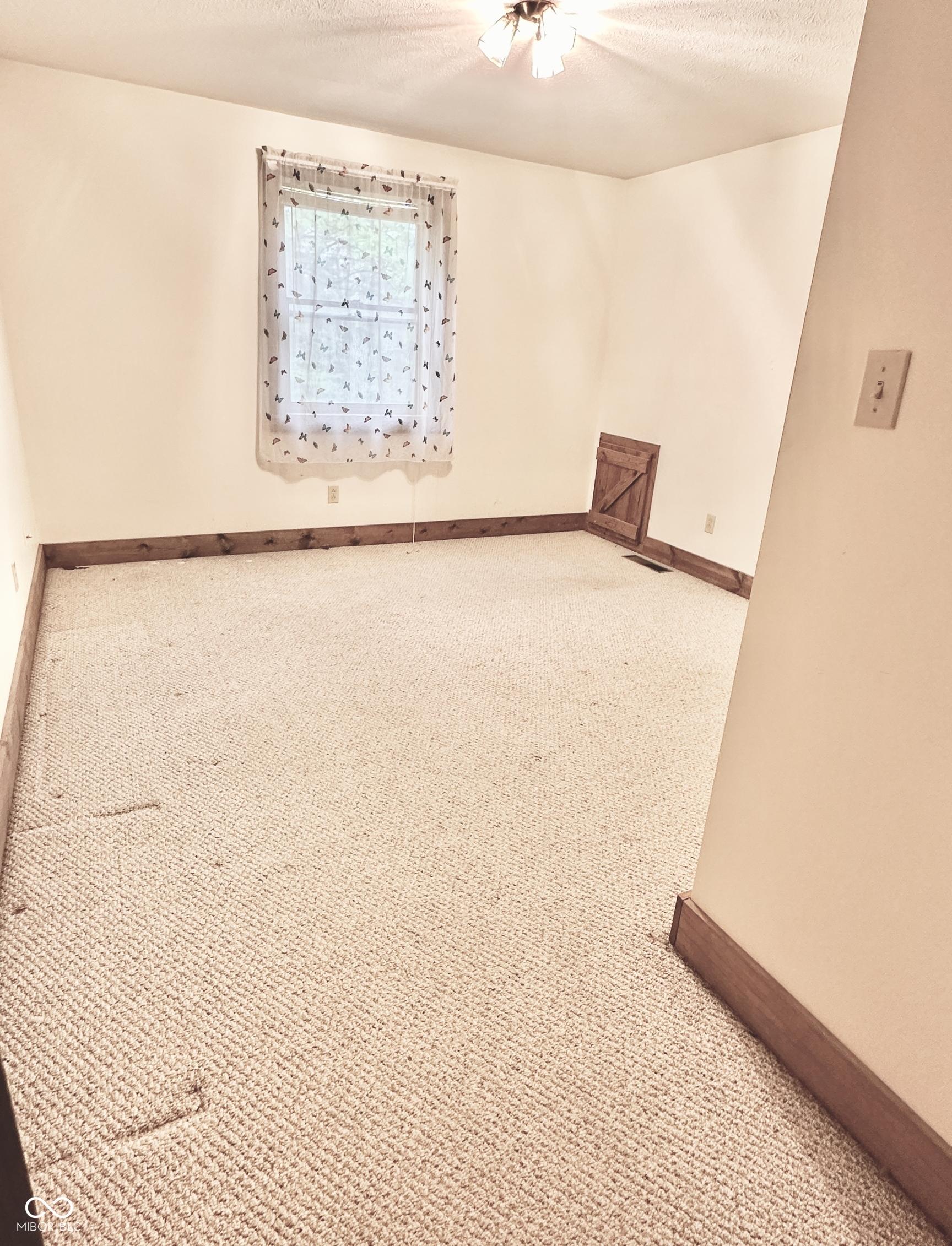 Photo #59