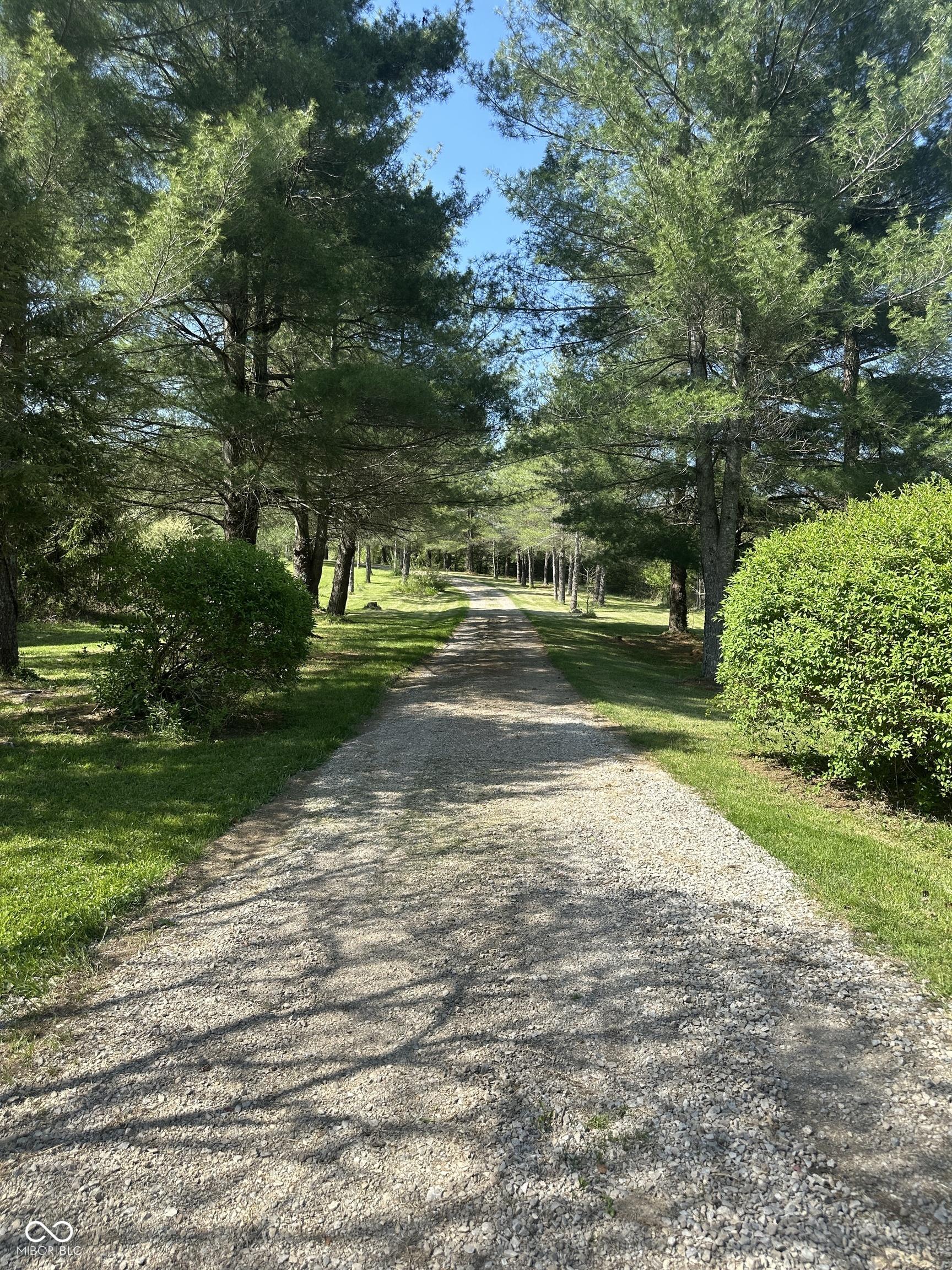 Photo #2