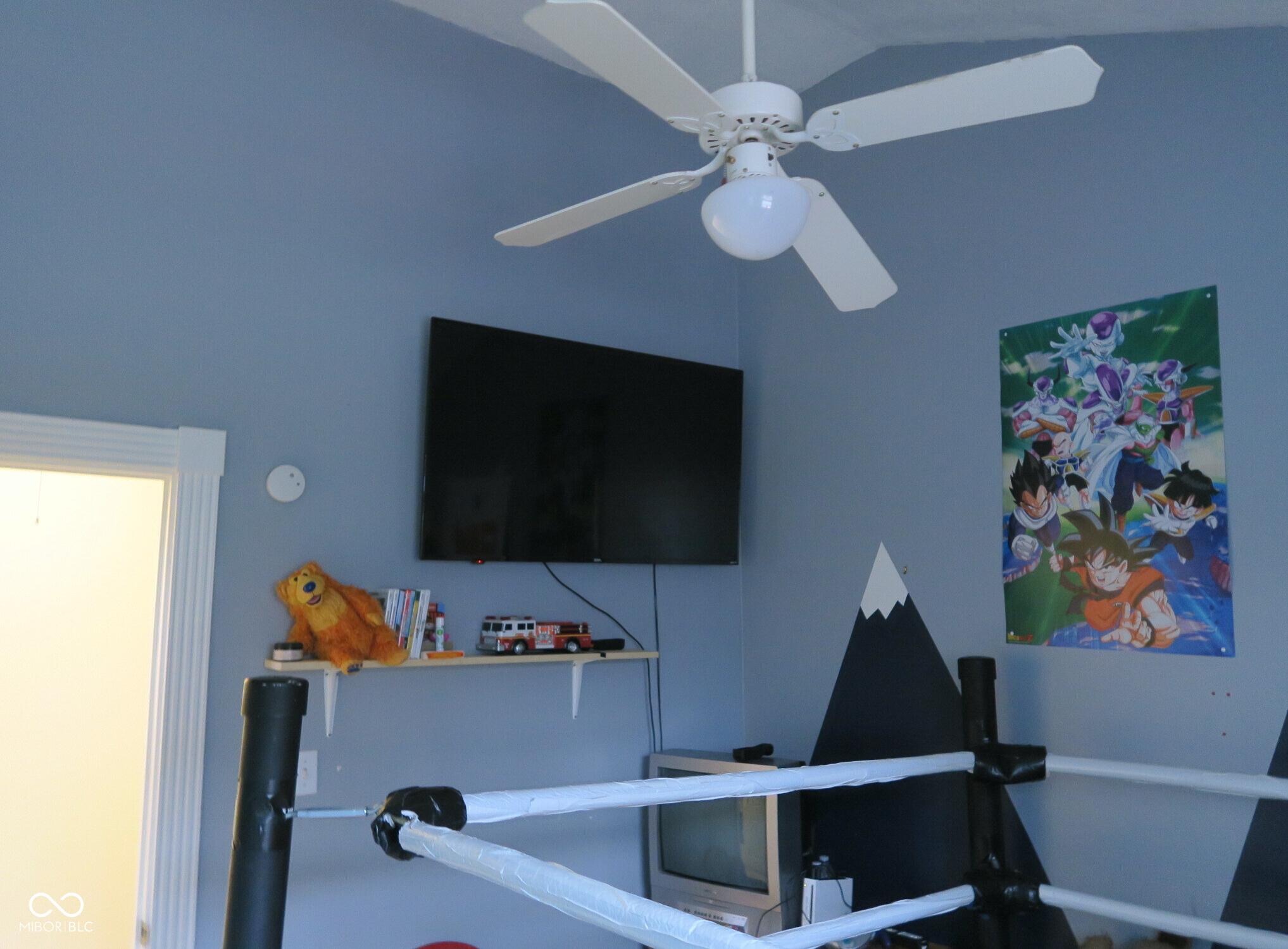 Photo #29