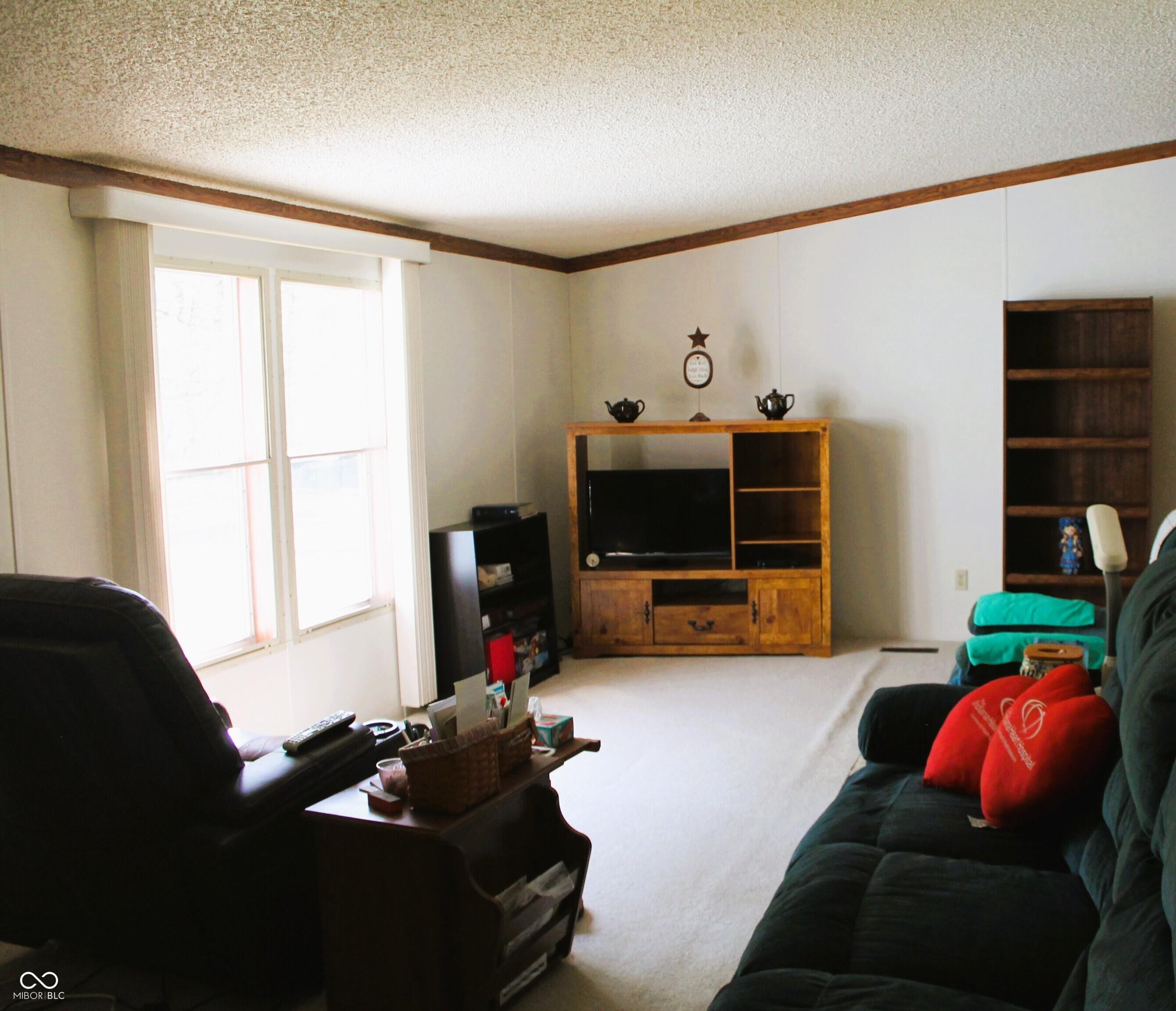 Photo #15