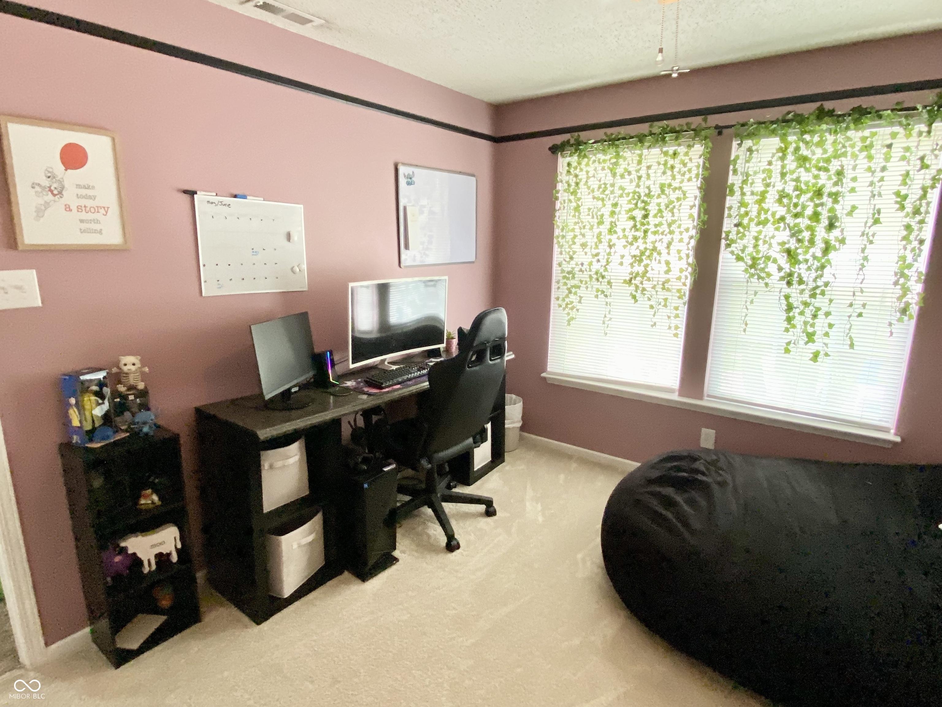 Photo #11