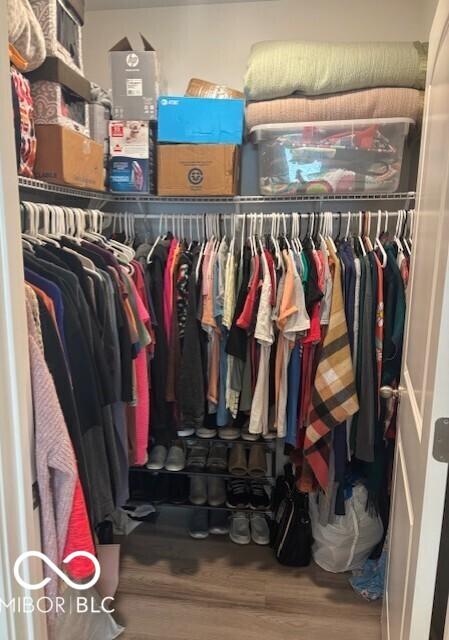 Photo #16