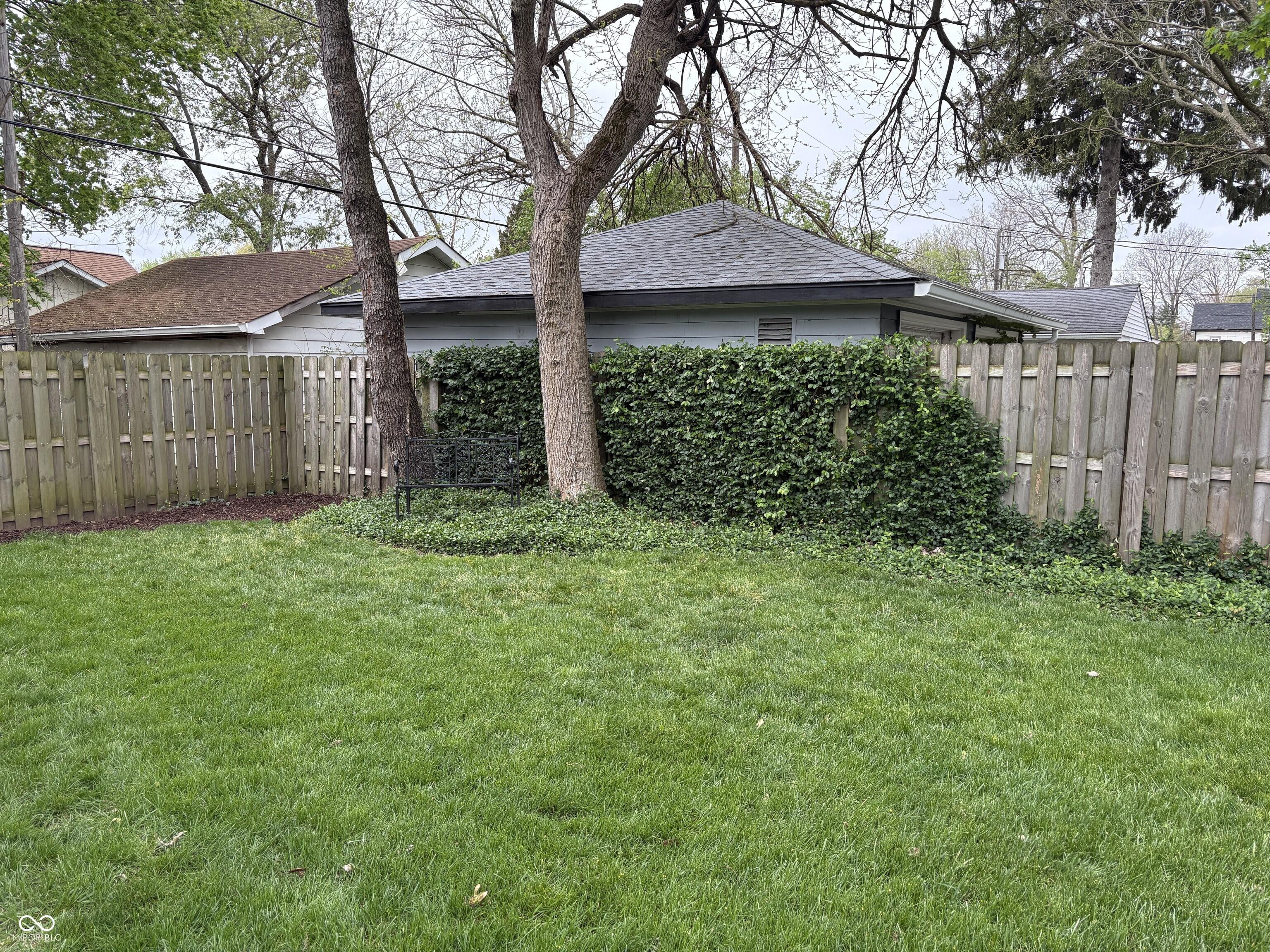 Photo #8