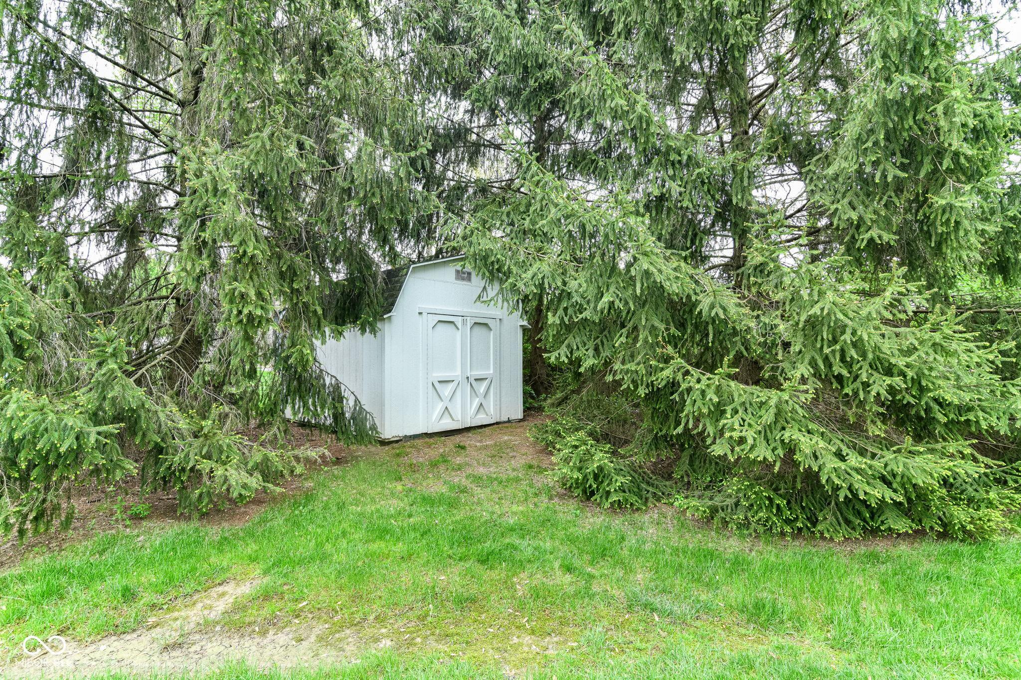 Photo #43