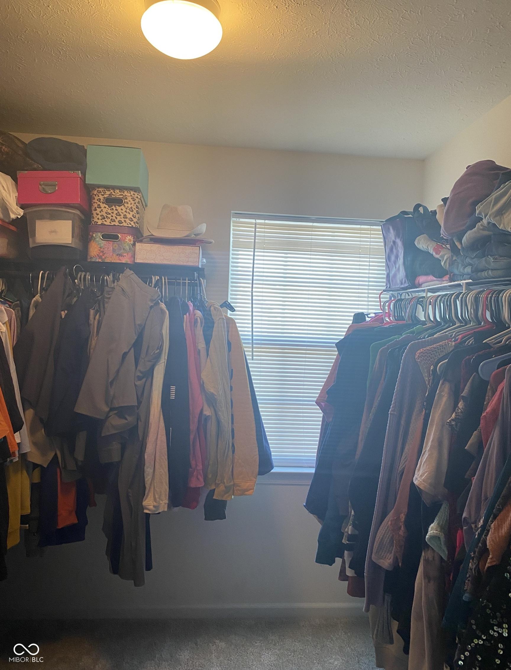 Photo #15
