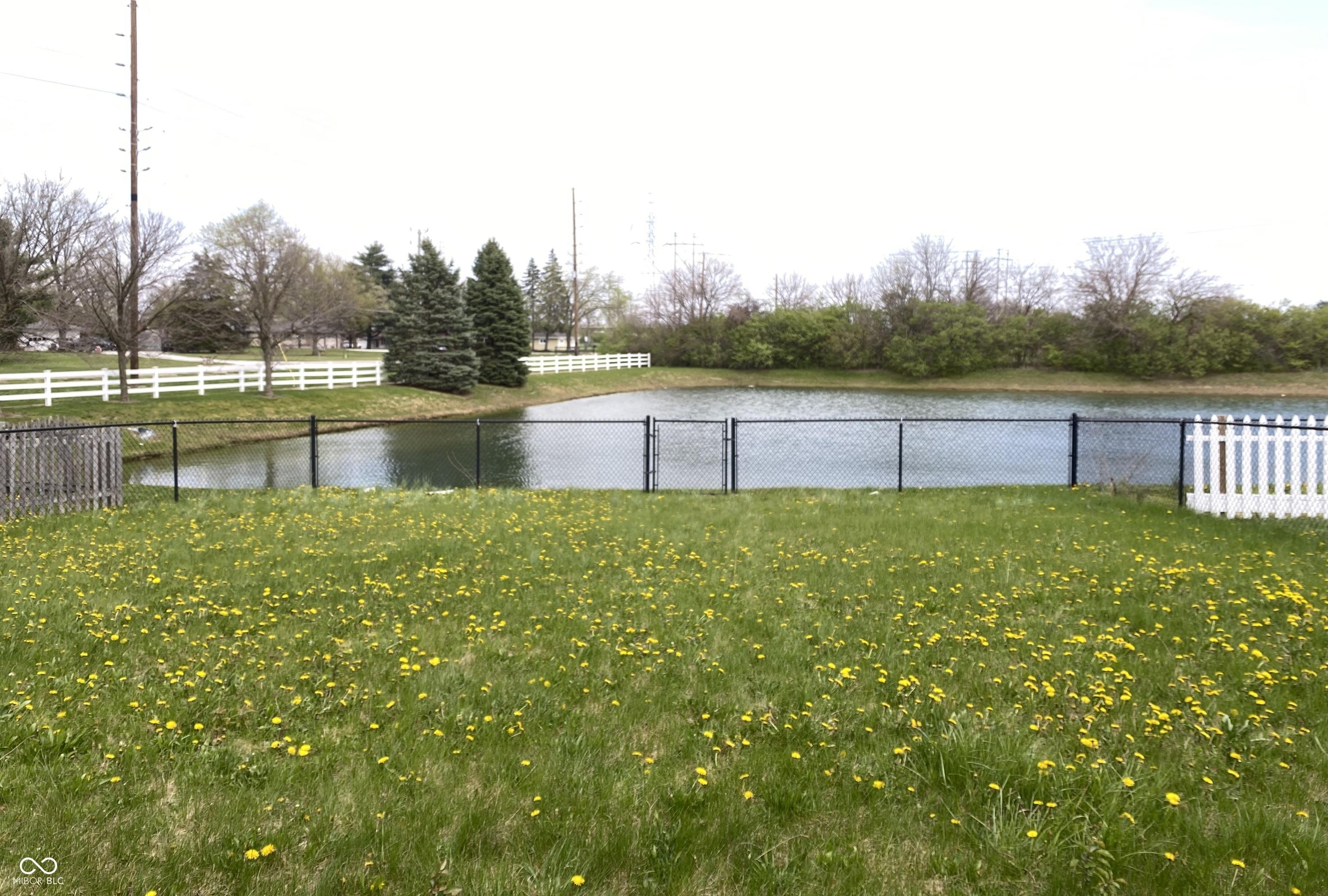 Photo #21