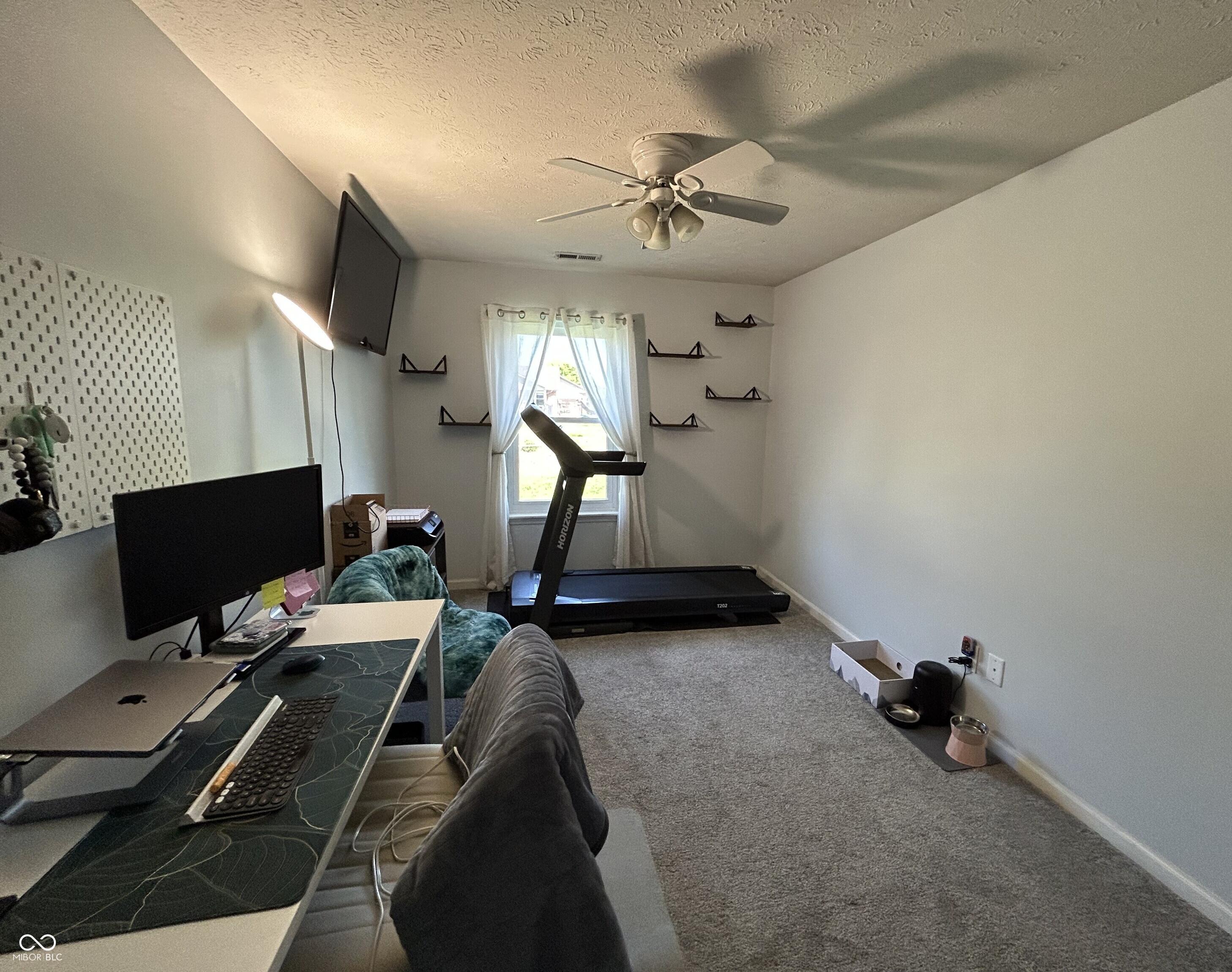 Photo #14