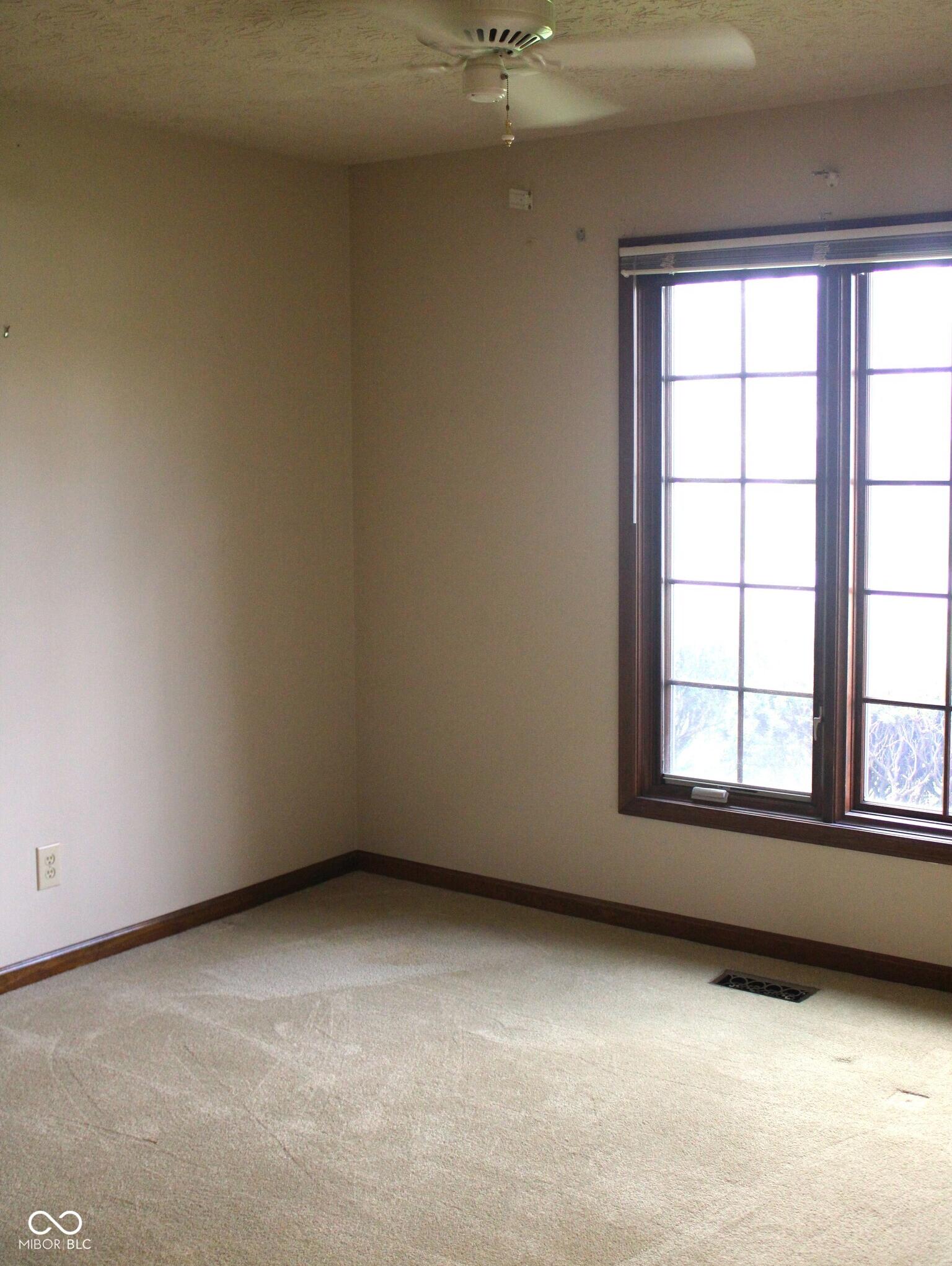 Photo #14