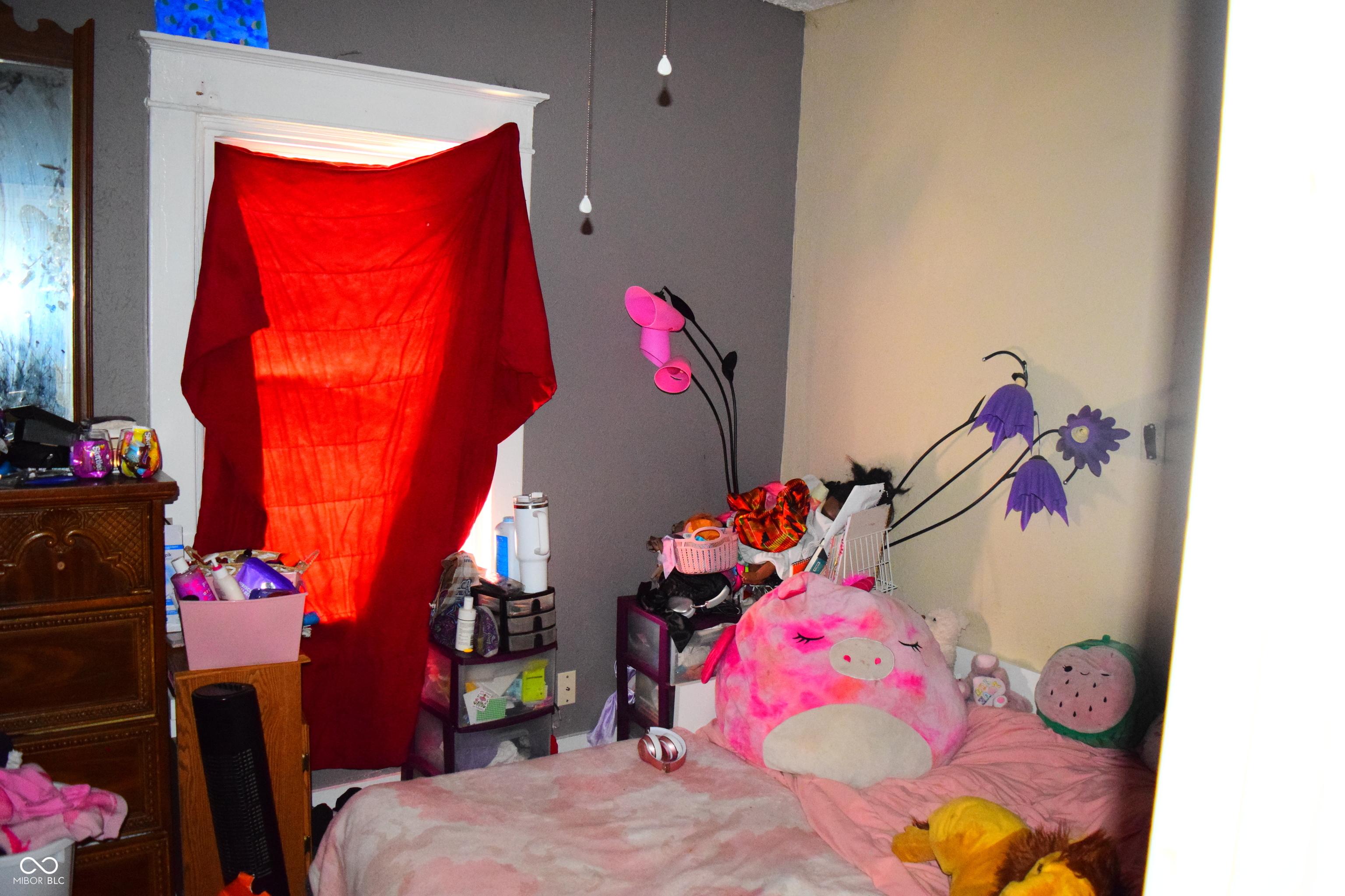 Photo #11
