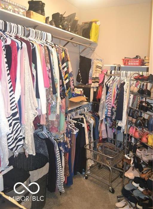 Photo #31