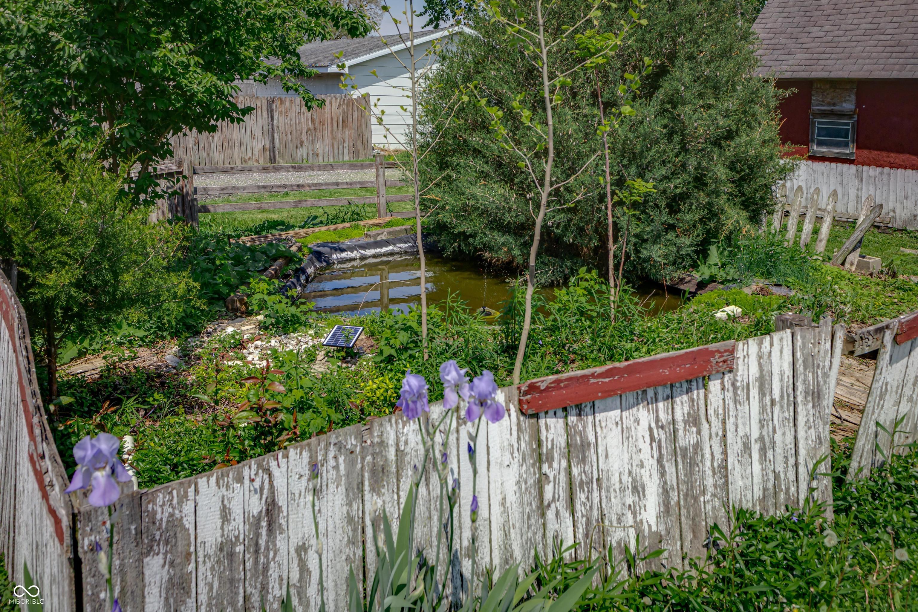 Photo #22