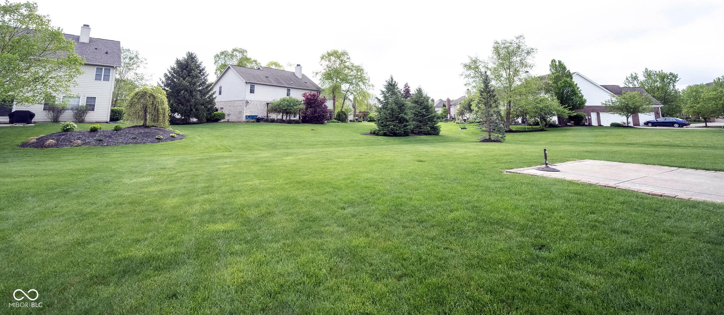 Photo #49