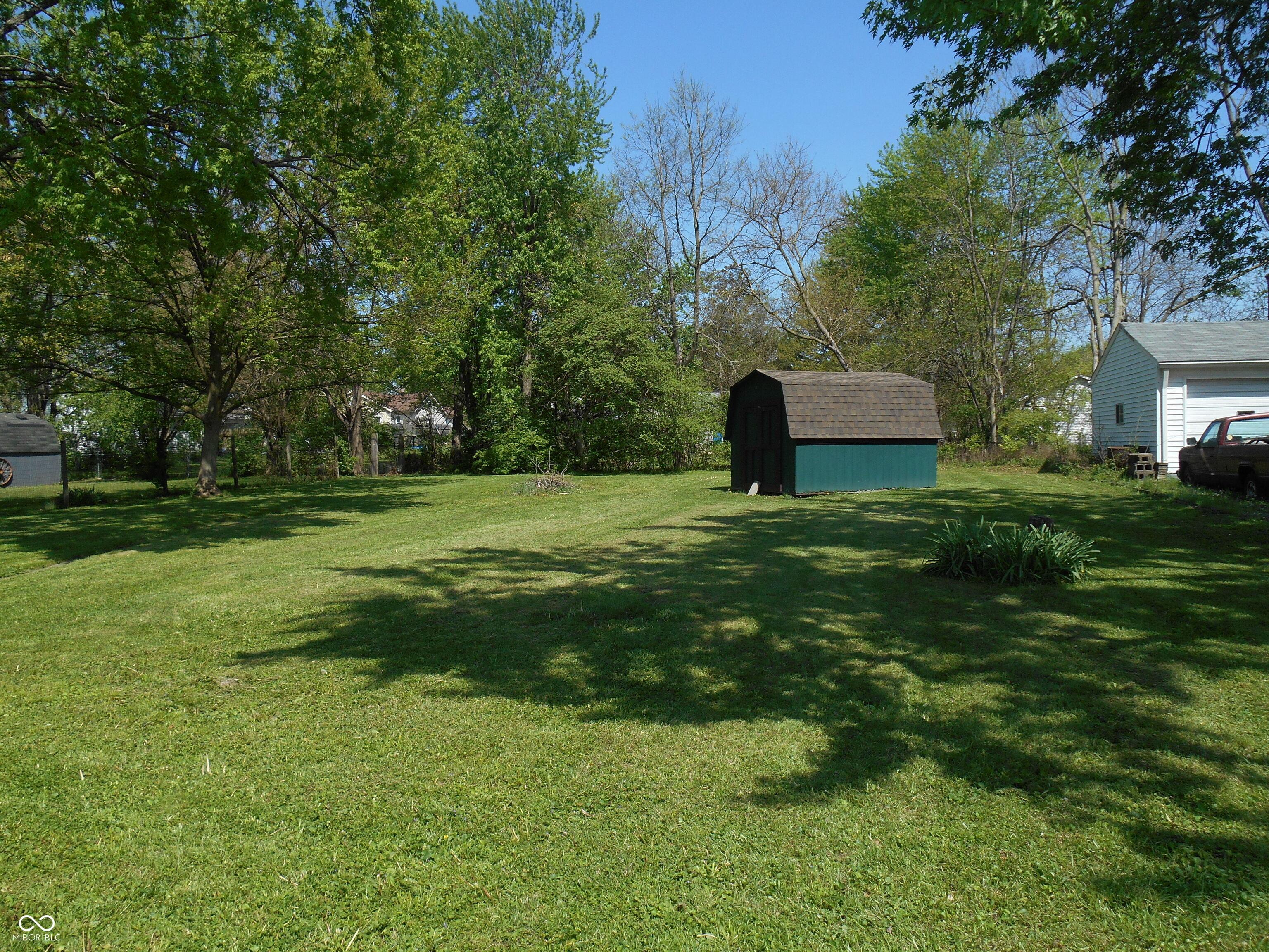 Photo #6