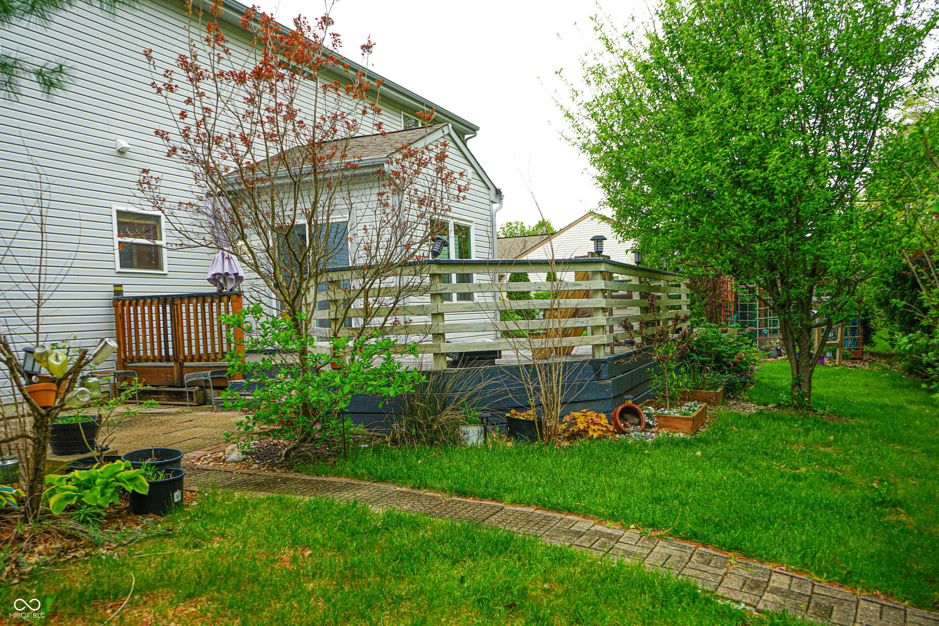 Photo #41