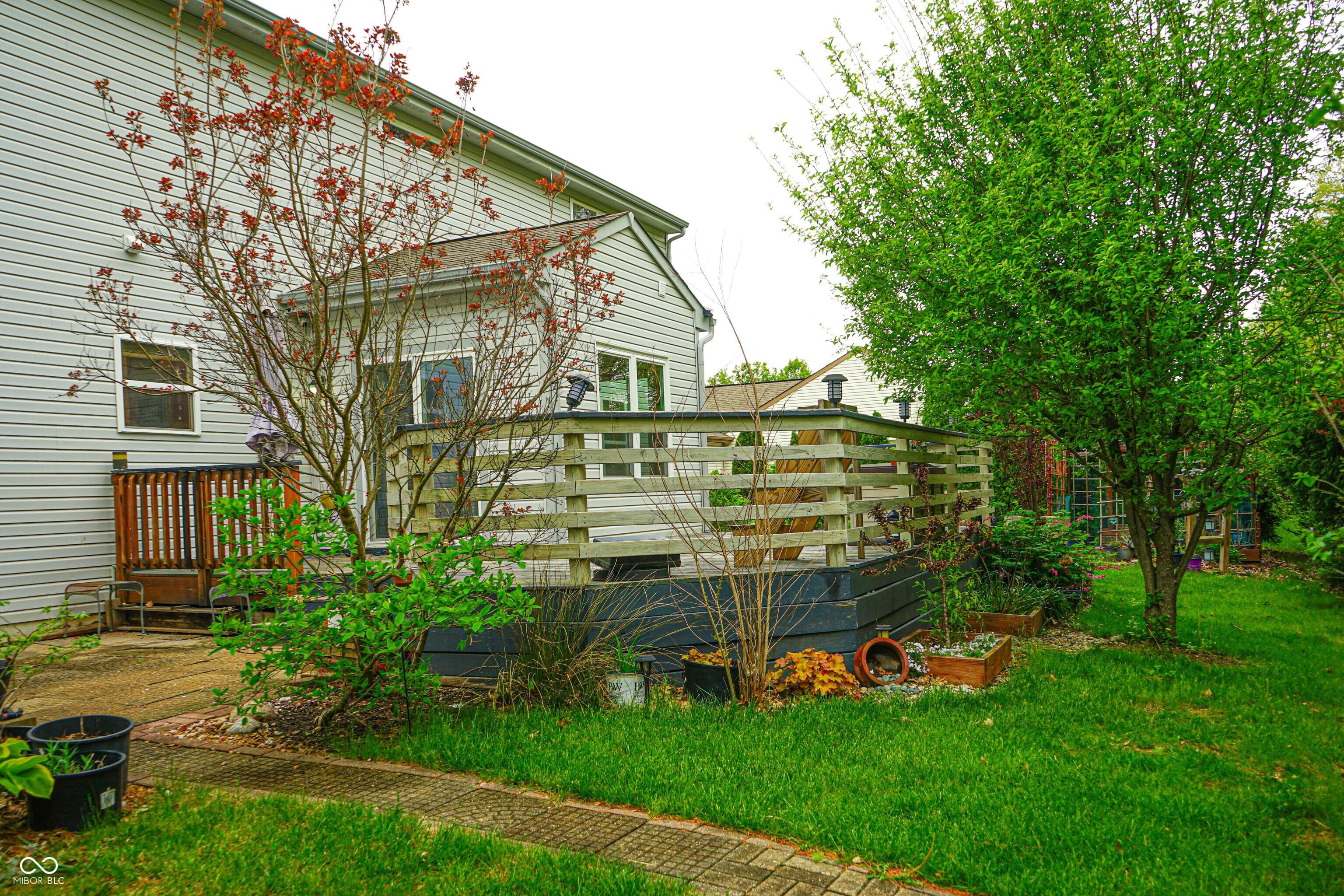 Photo #42