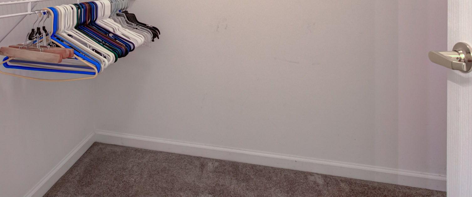 Photo #47