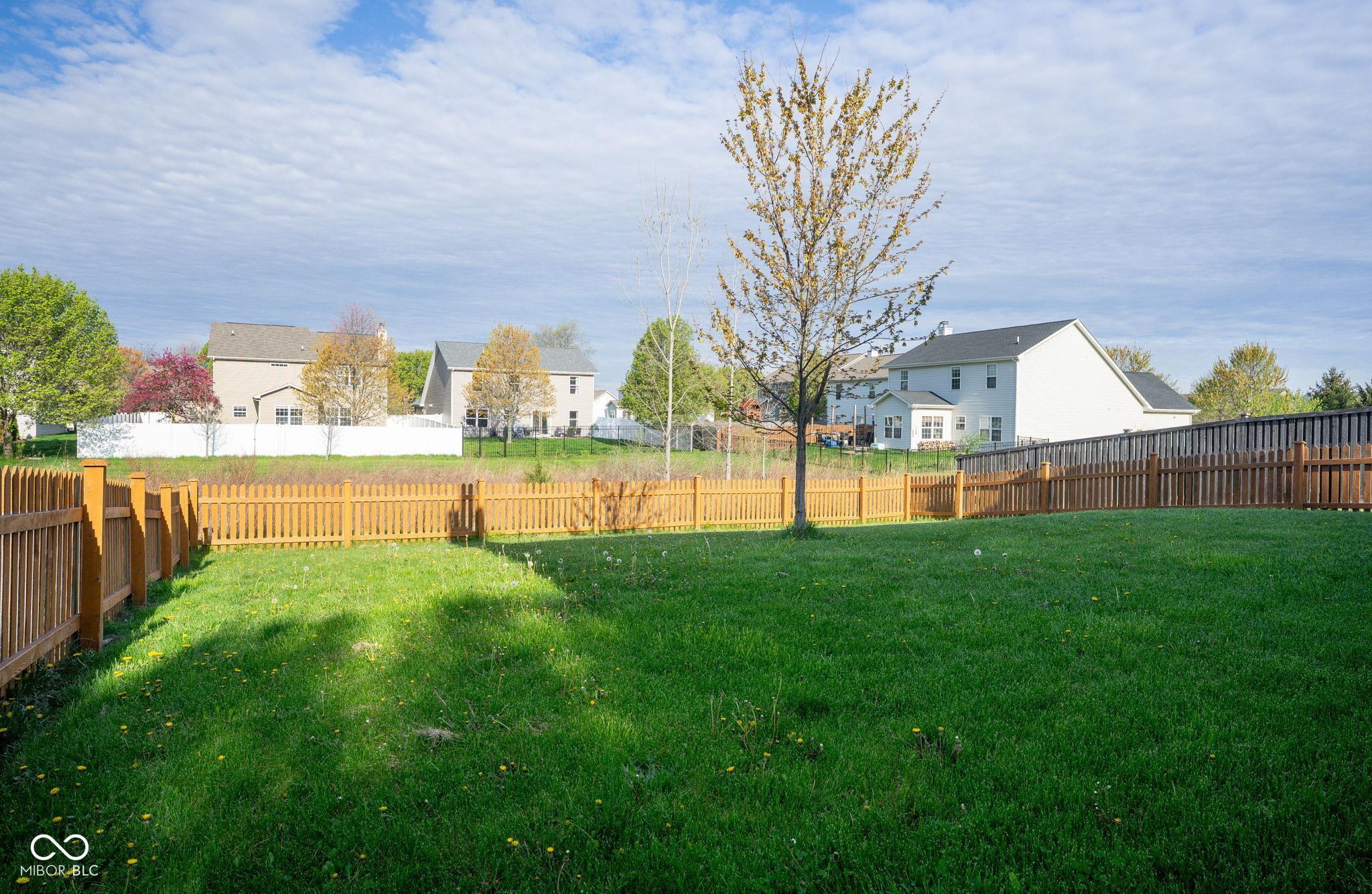 Photo #24