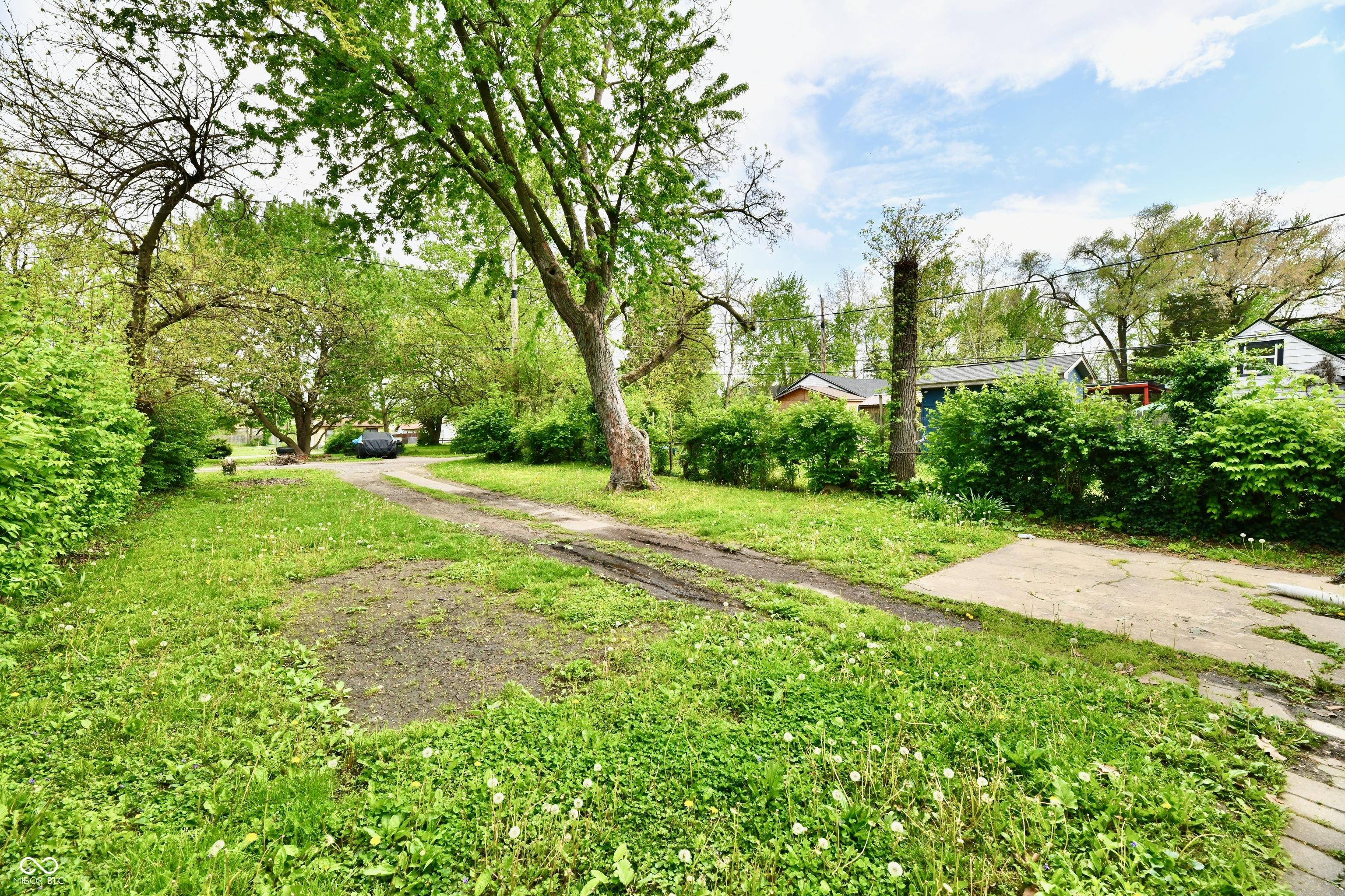 Photo #4
