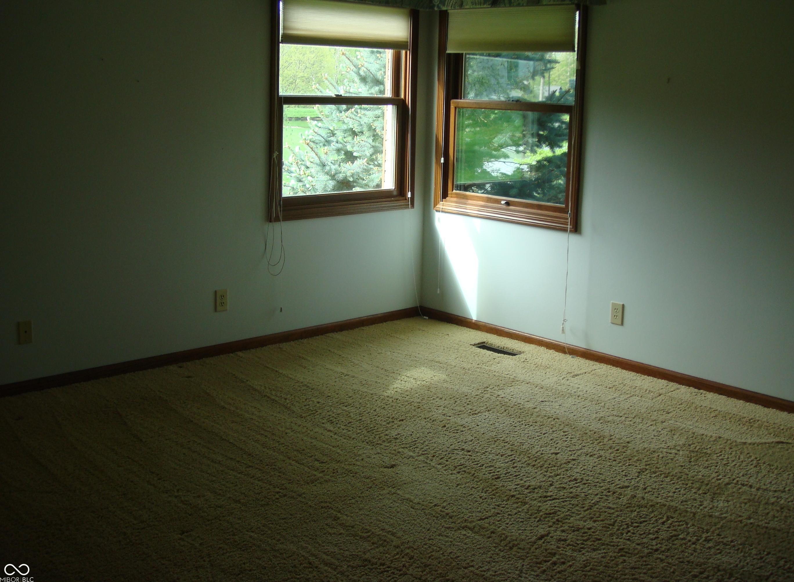 Photo #19
