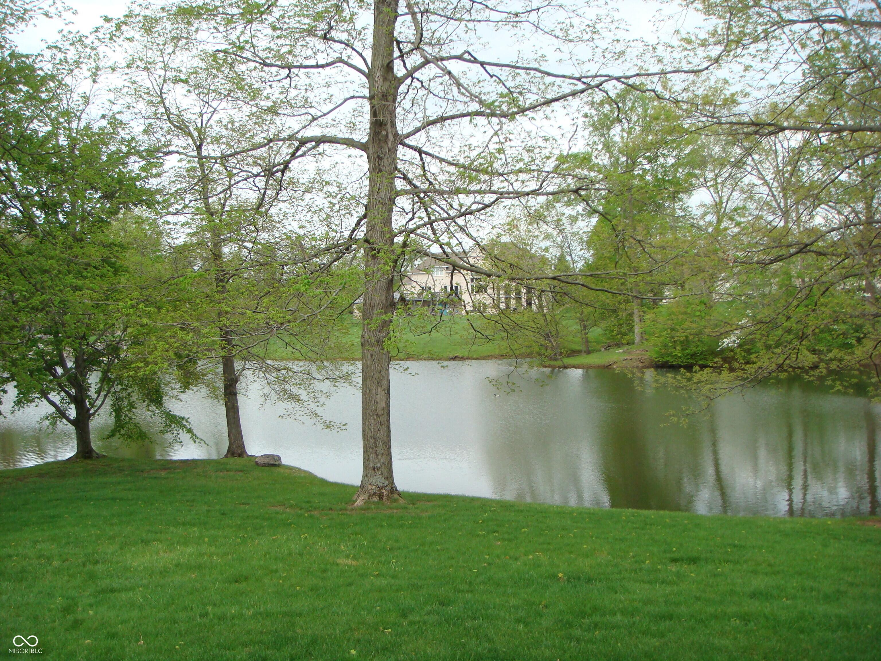 Photo #8