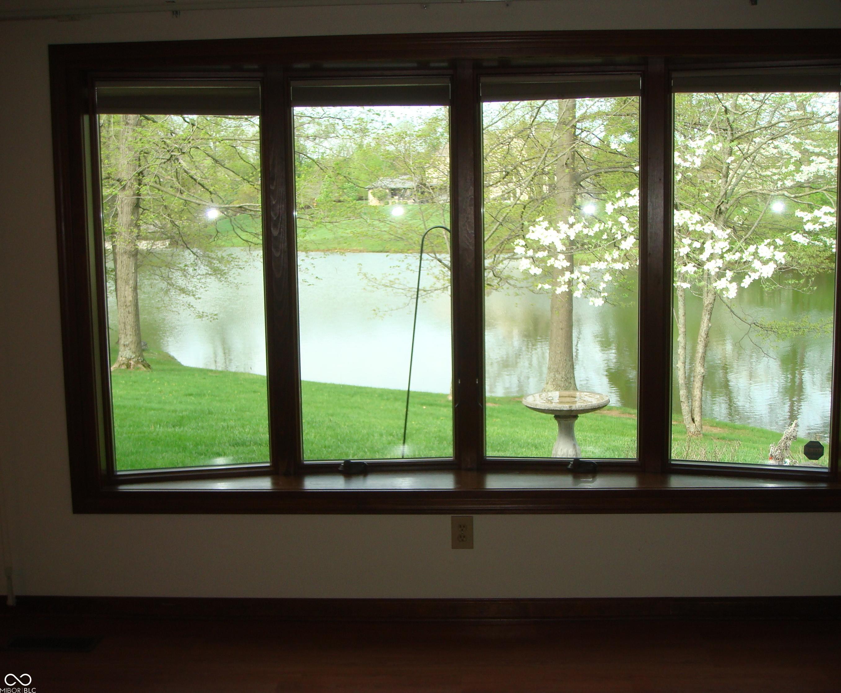 Photo #12