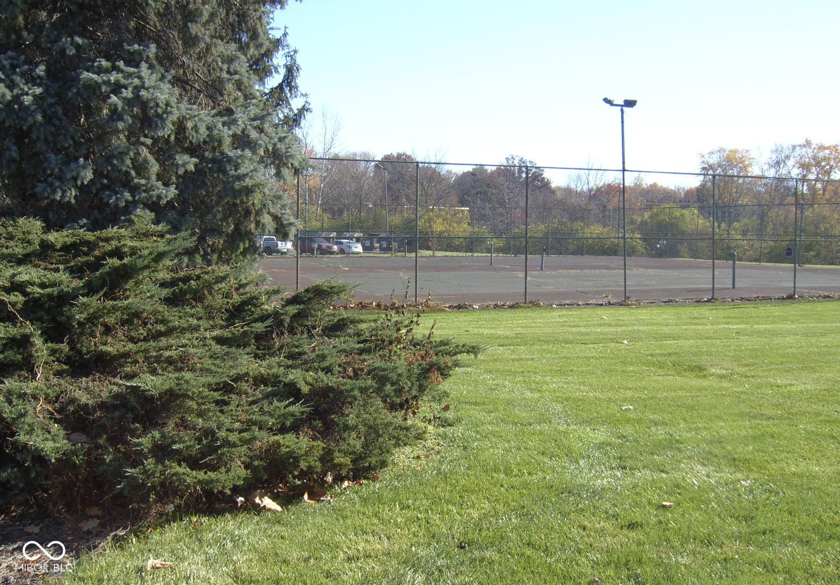 Photo #29