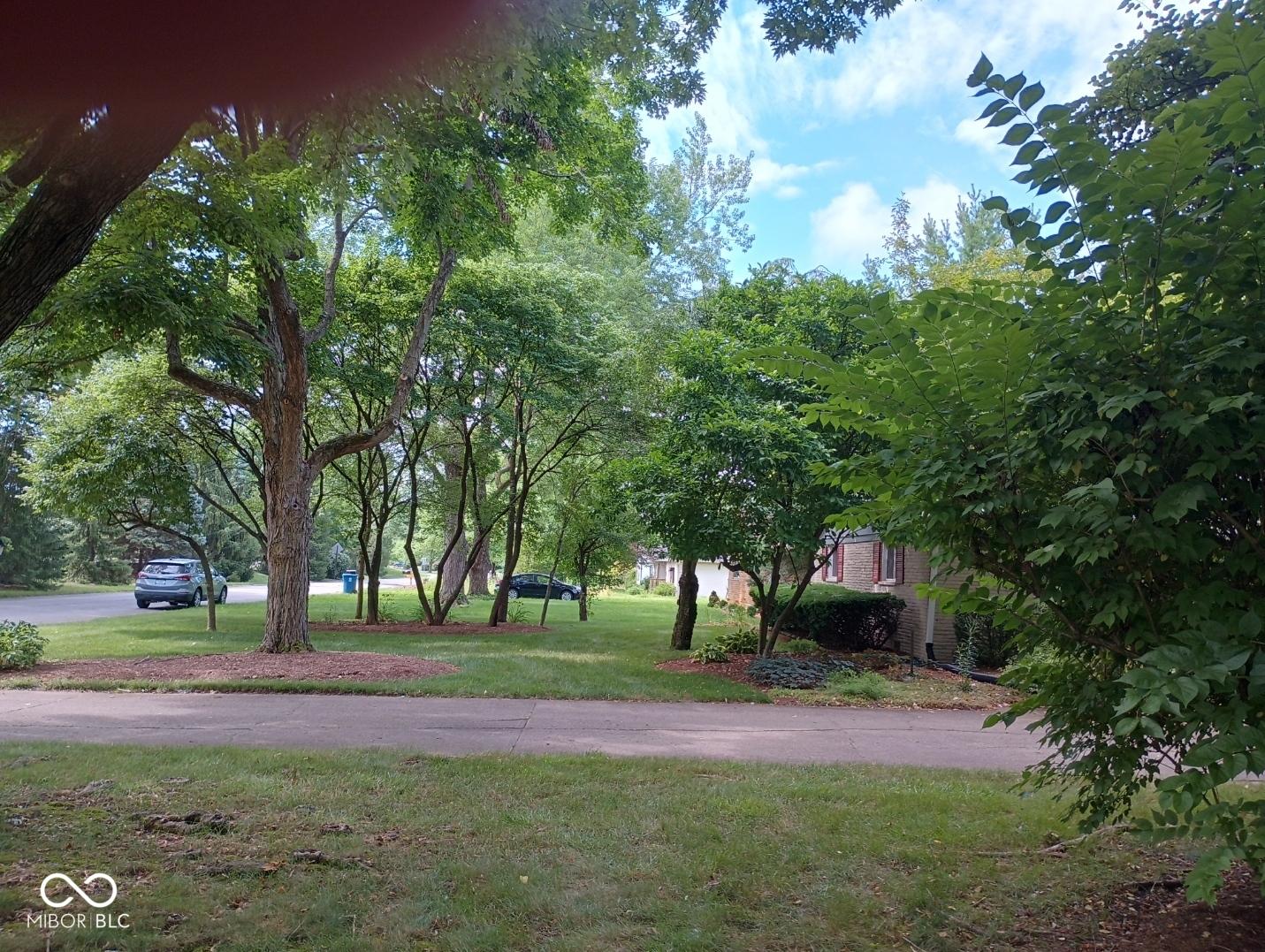 Photo #5