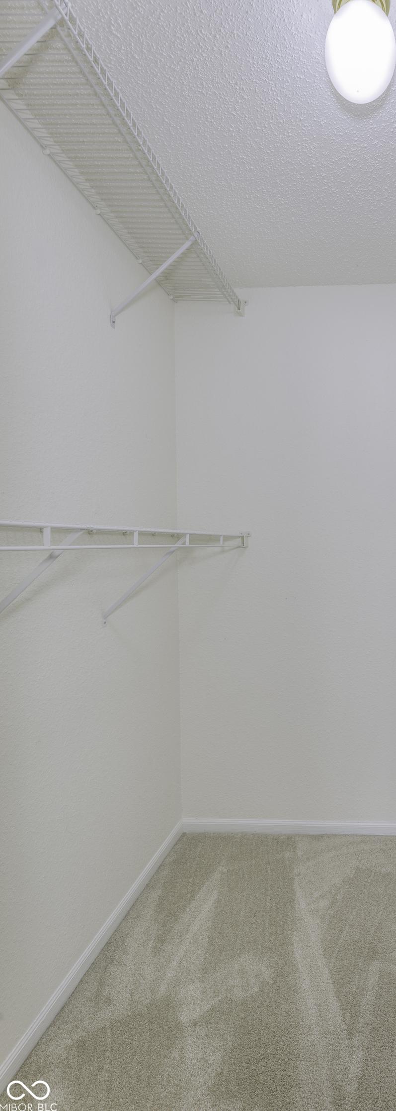 Photo #12