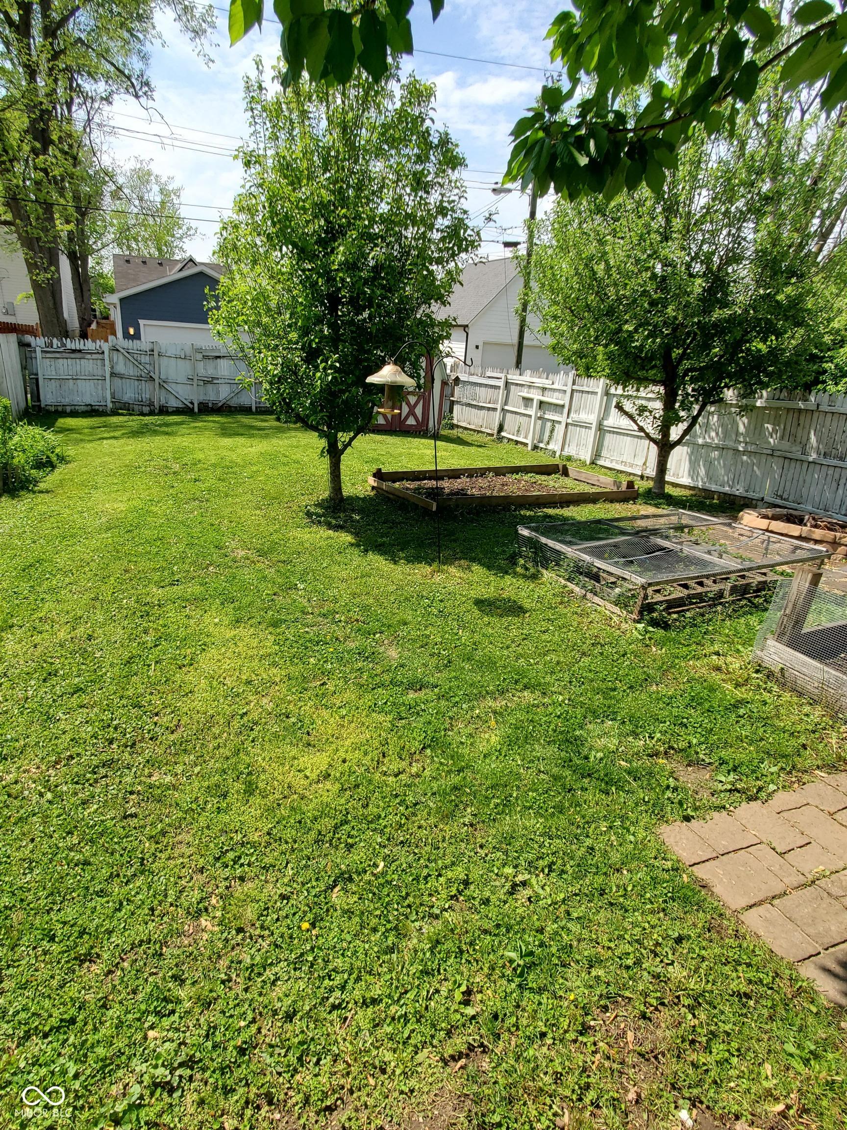 Photo #24