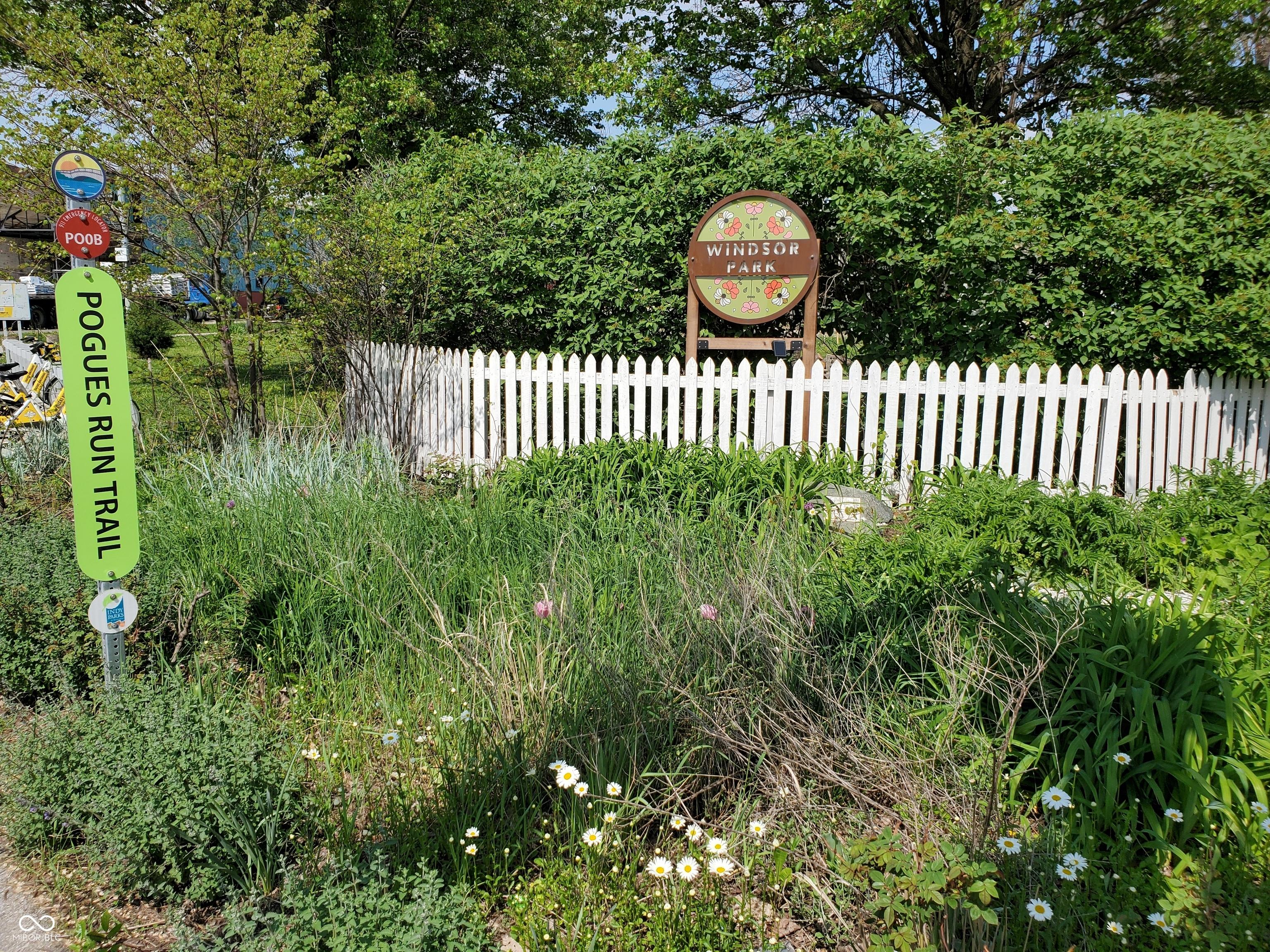 Photo #41