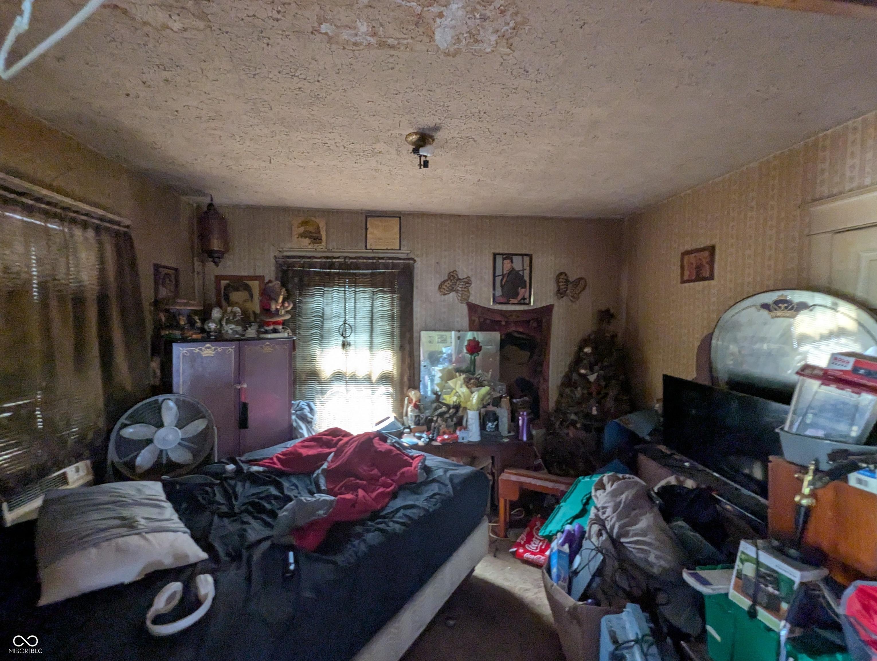 Photo #6