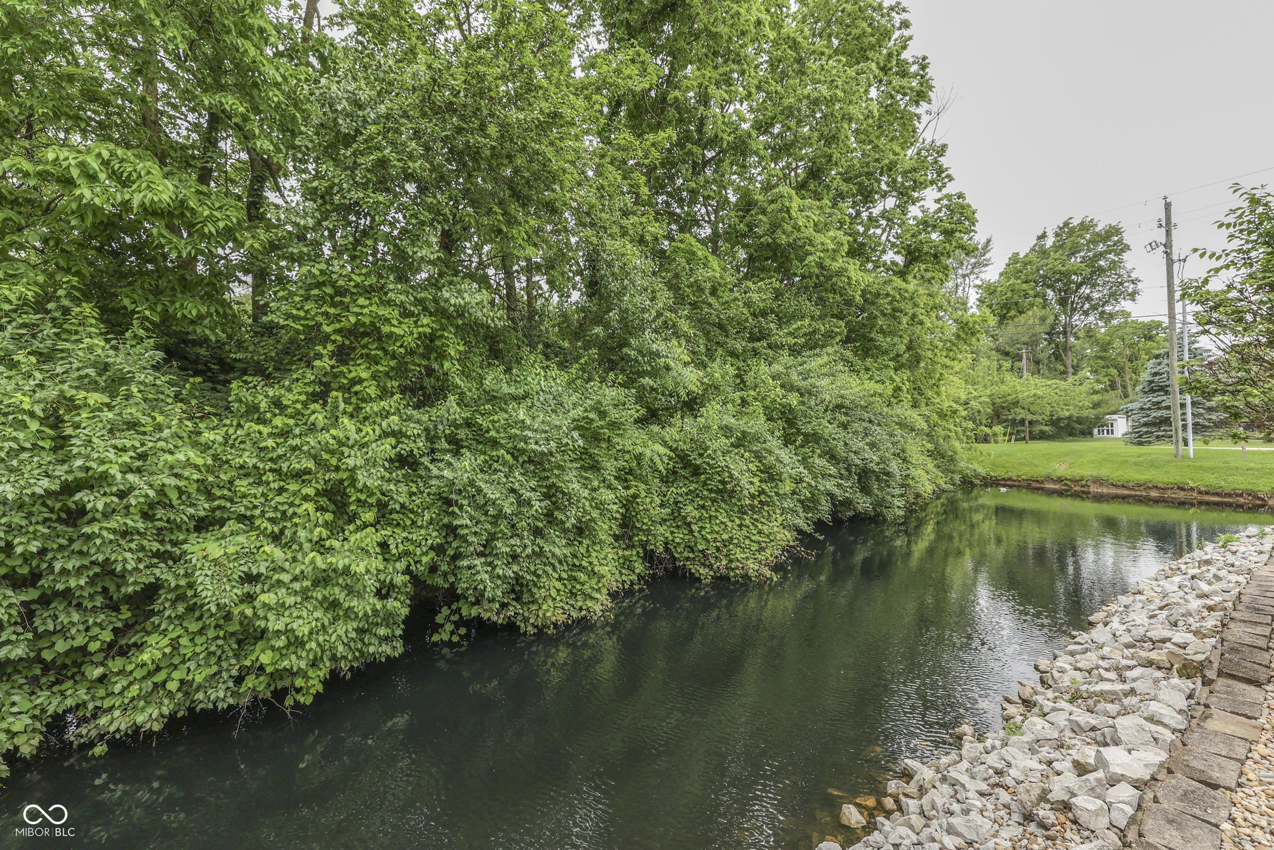Photo #49