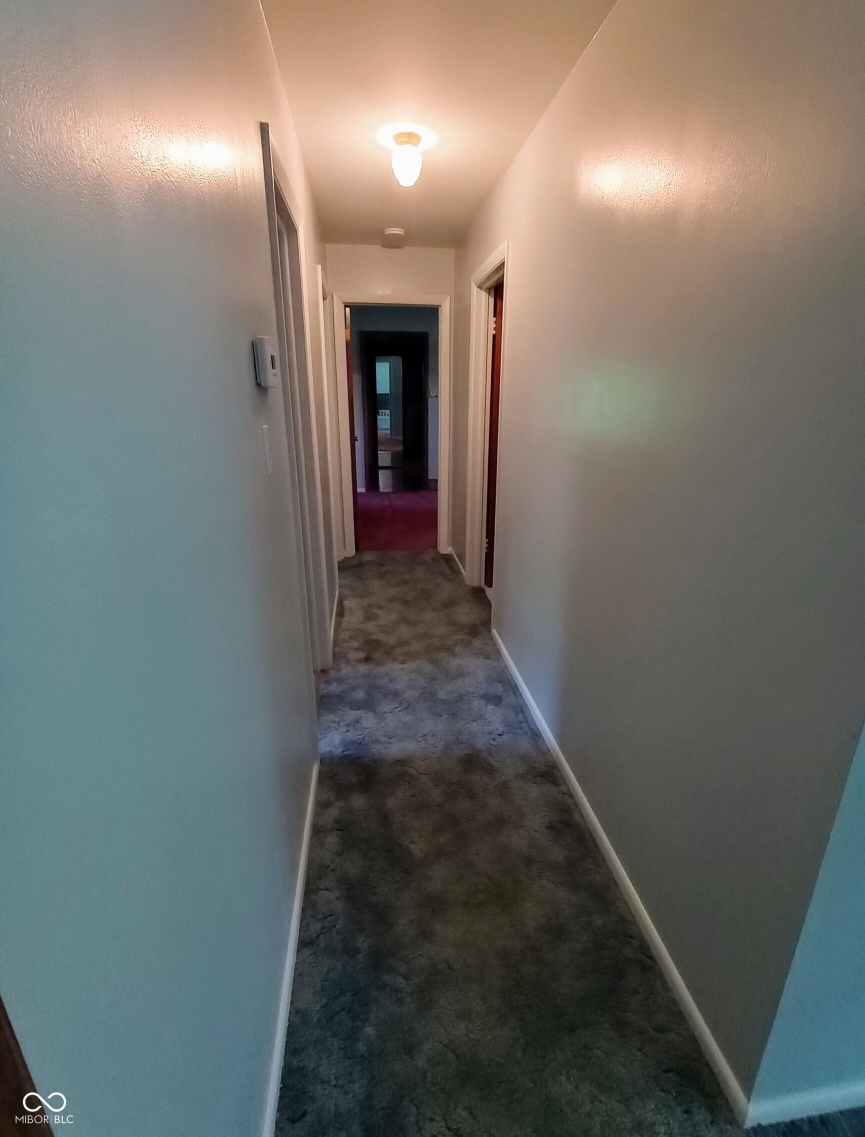 Photo #37
