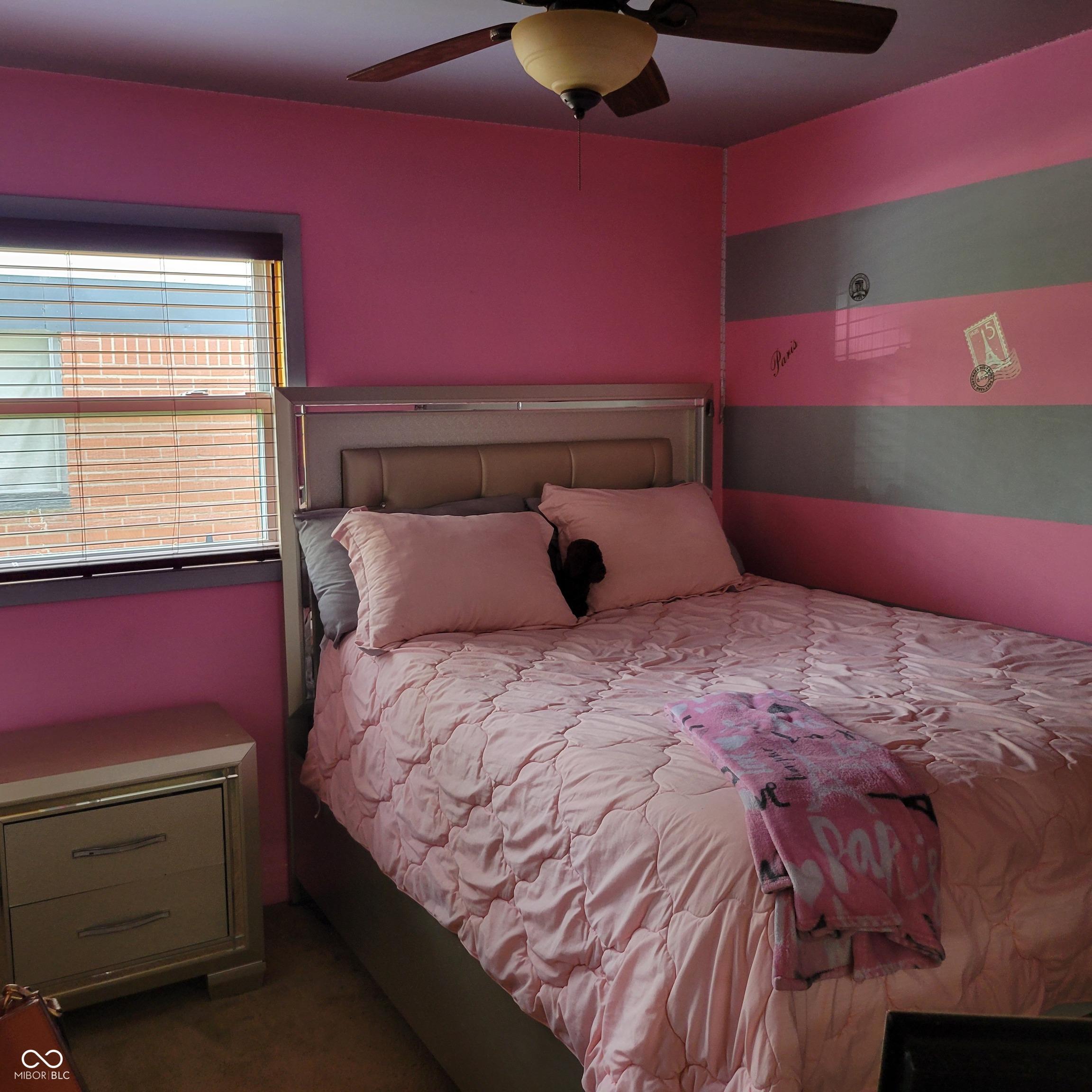 Photo #12