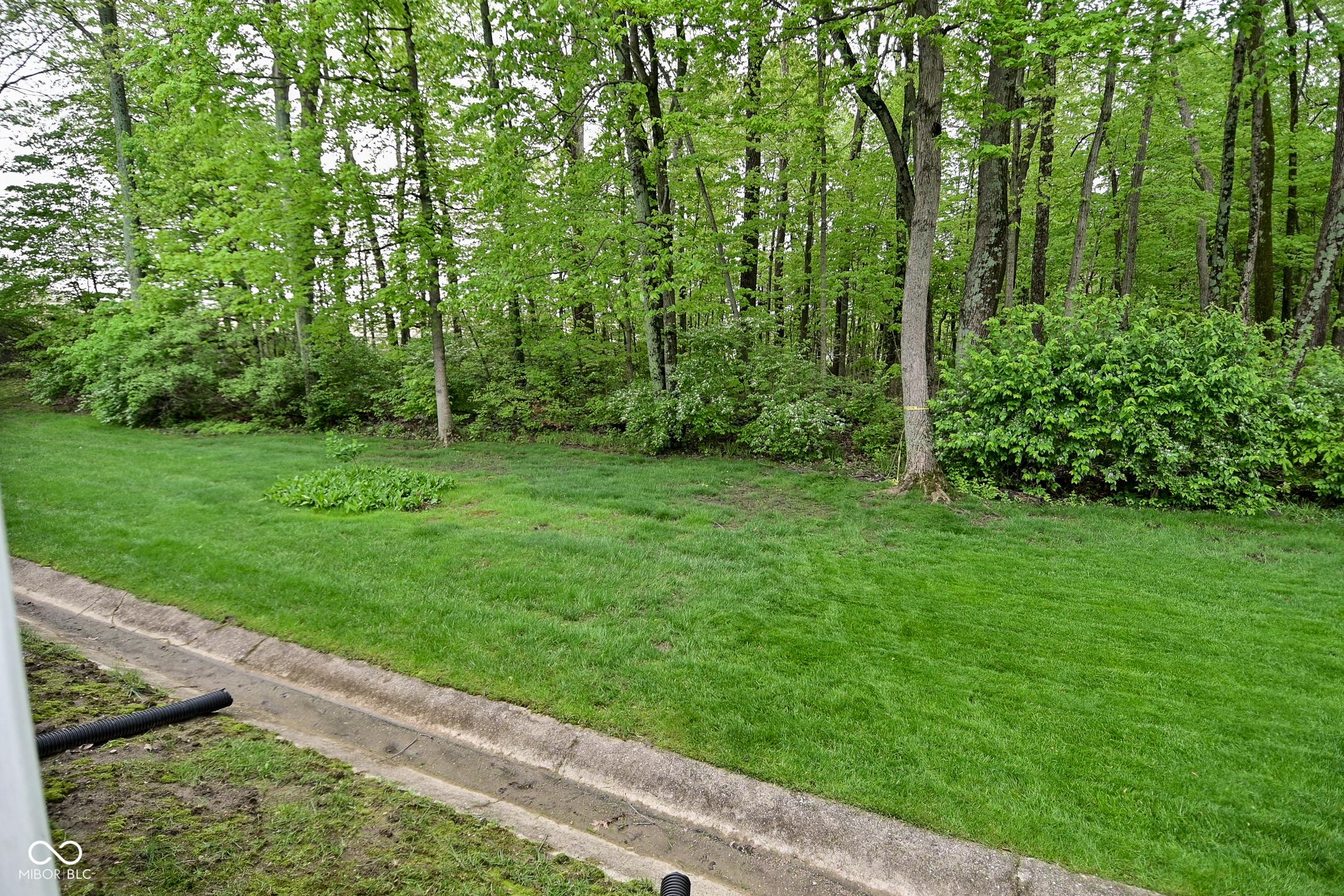 Photo #42
