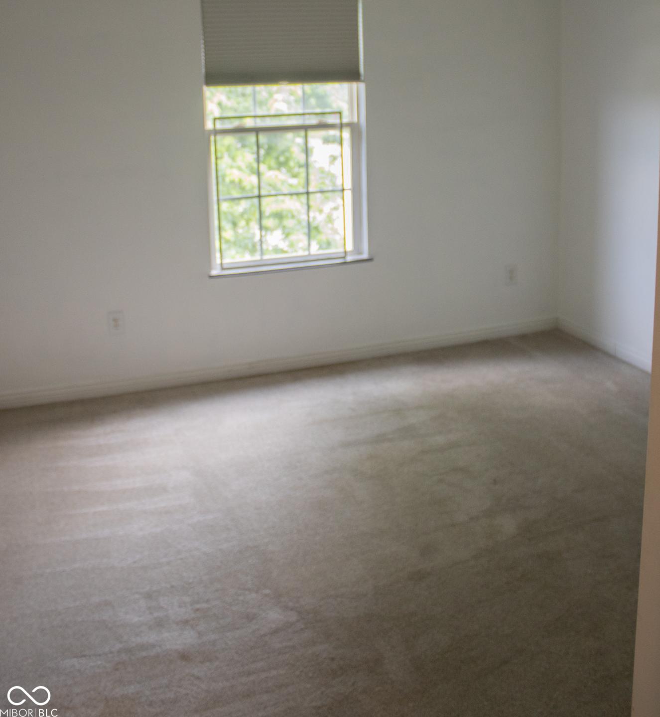 Photo #43