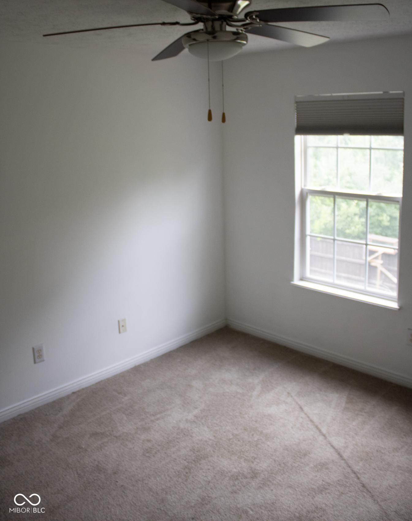 Photo #48