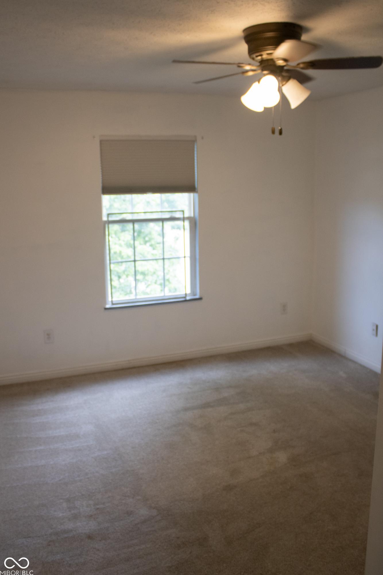 Photo #42