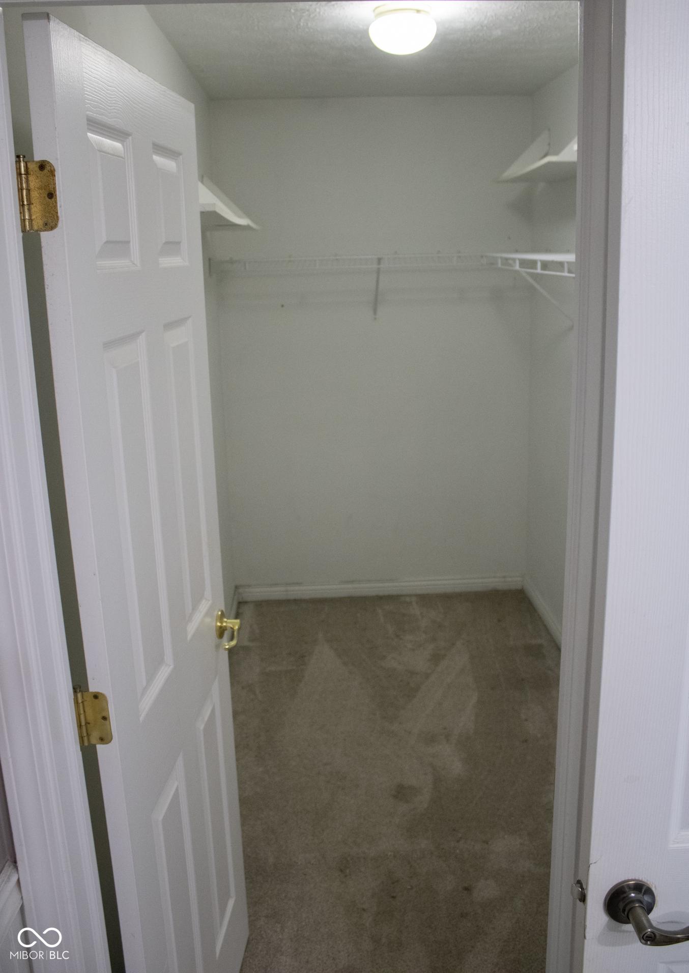Photo #54