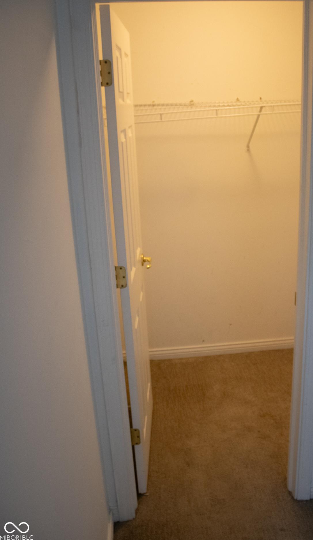 Photo #47