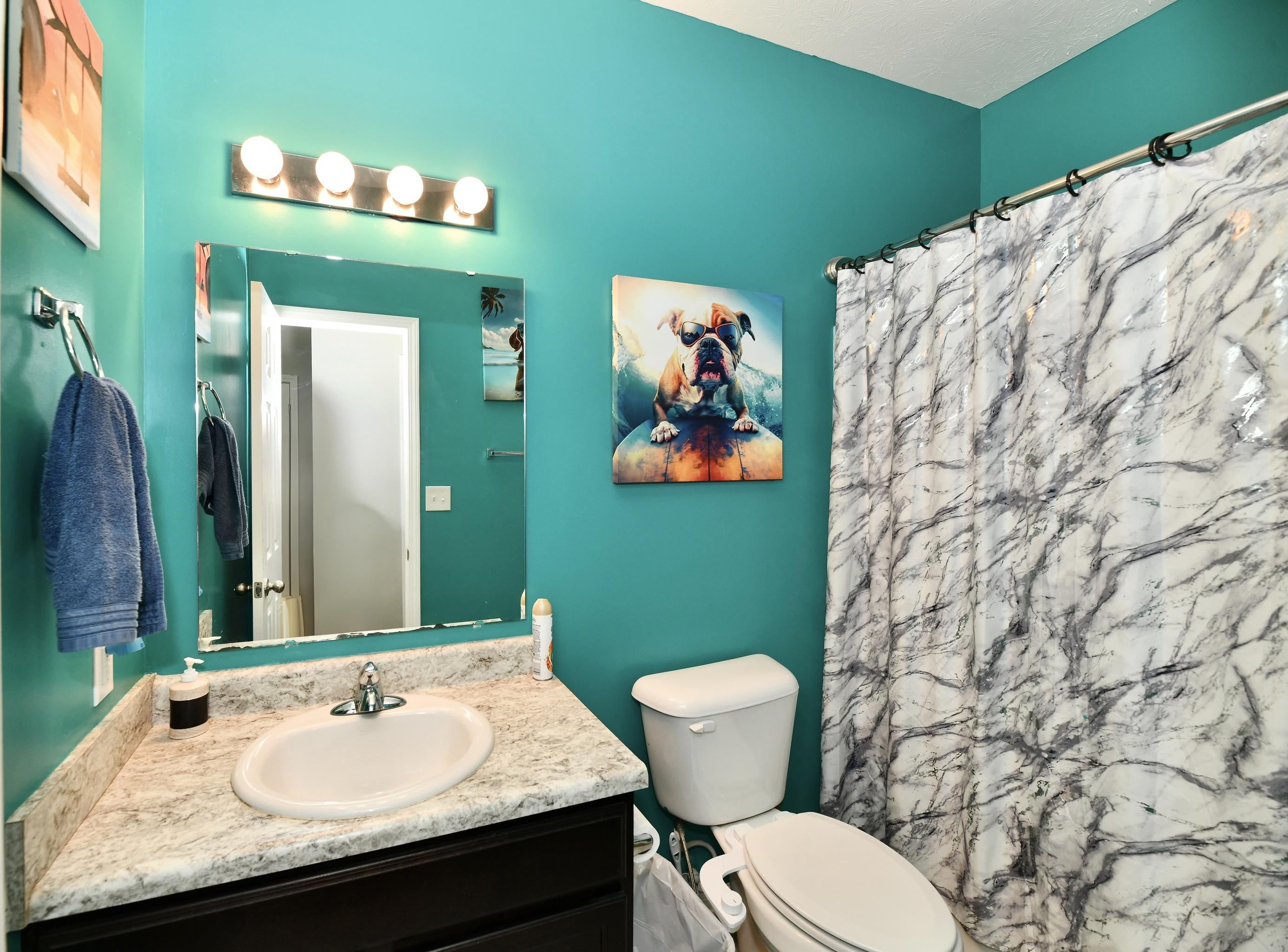 Photo #31