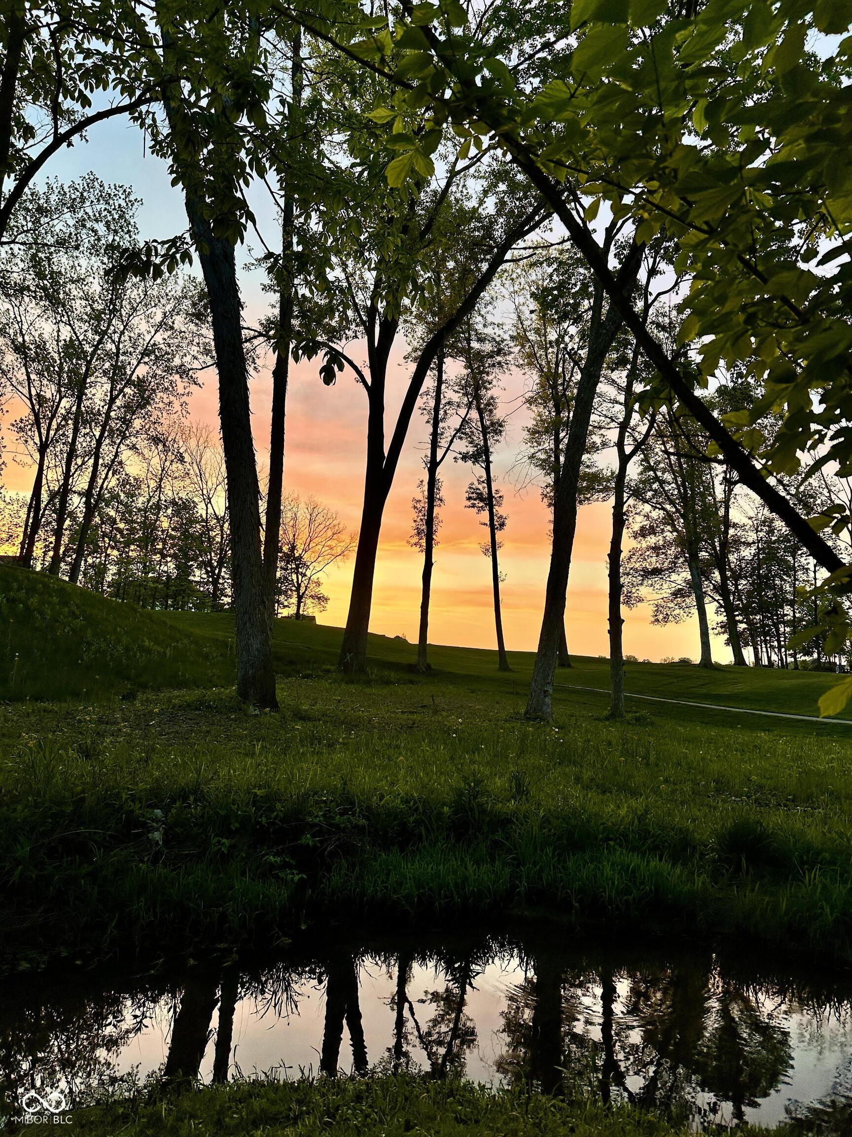 Photo #99