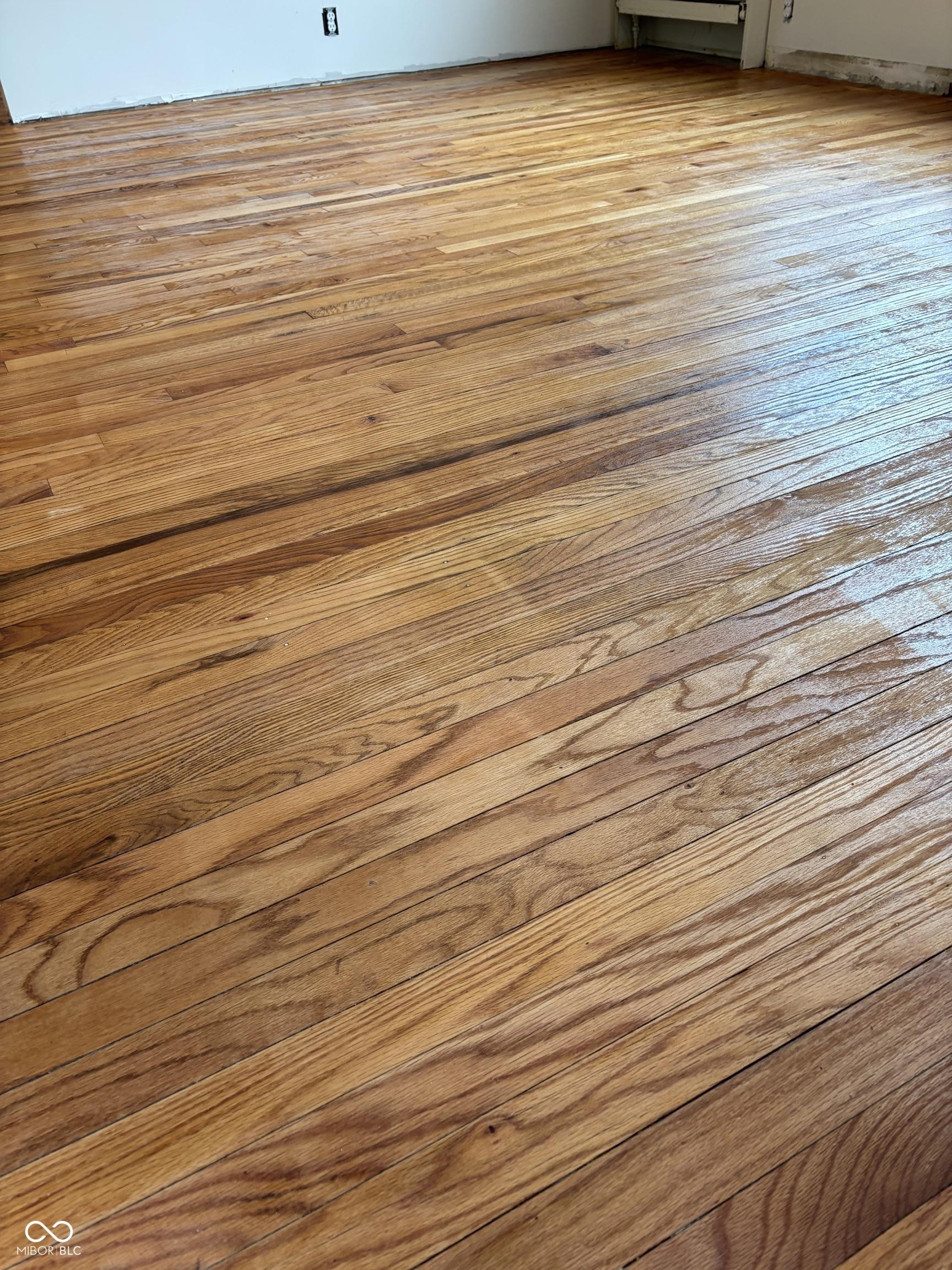 Photo #12