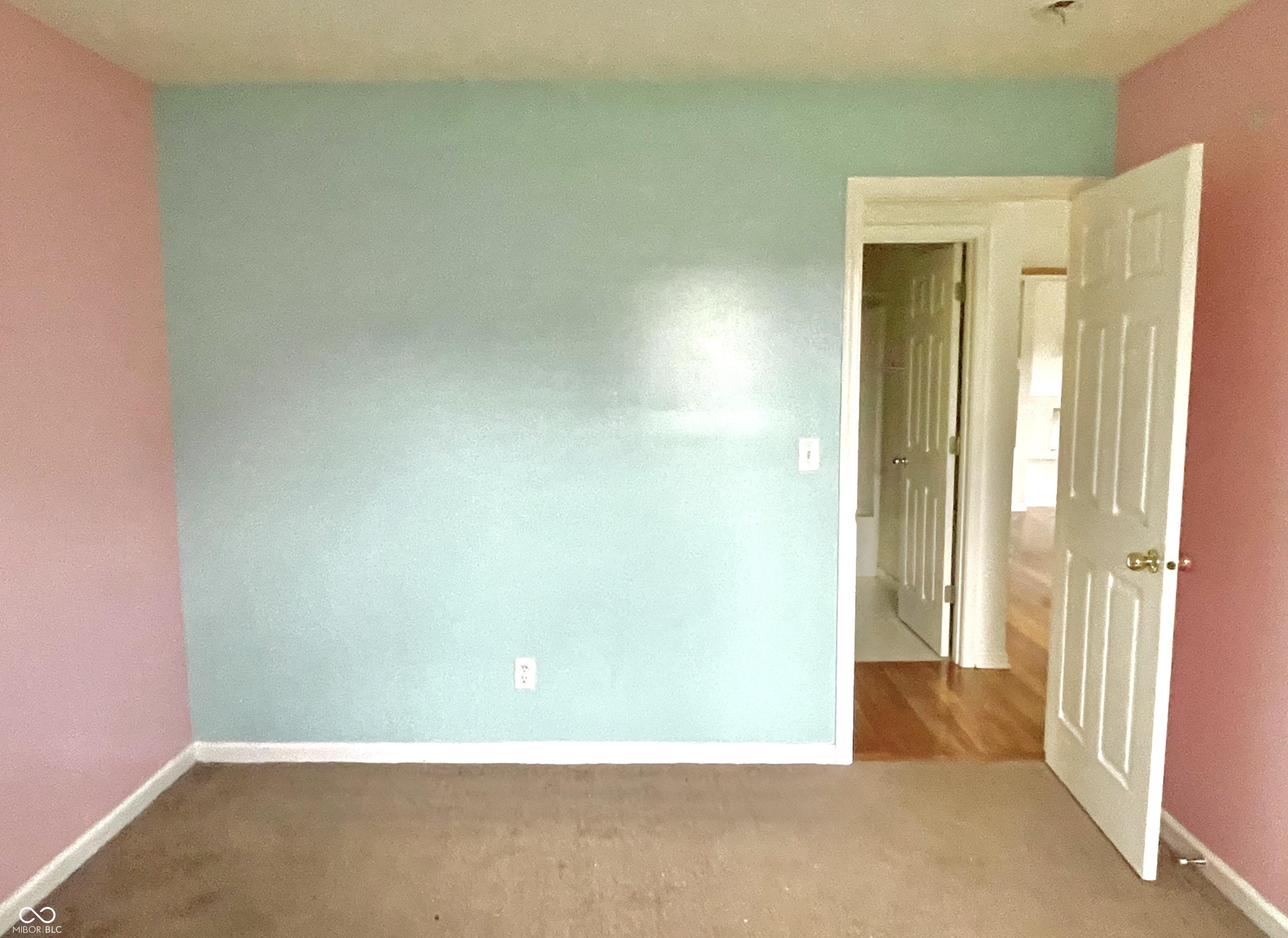 Photo #42