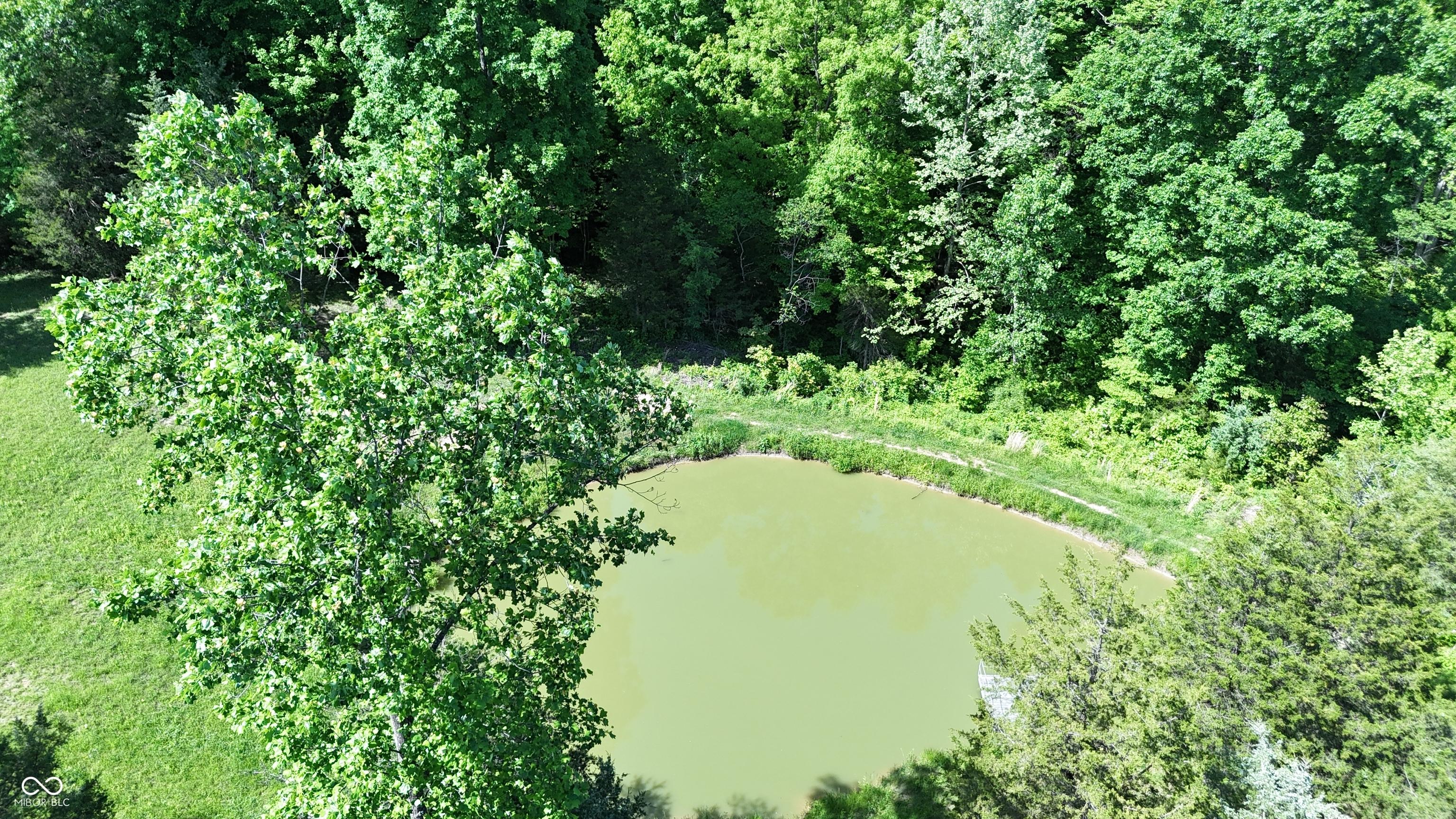 Photo #61