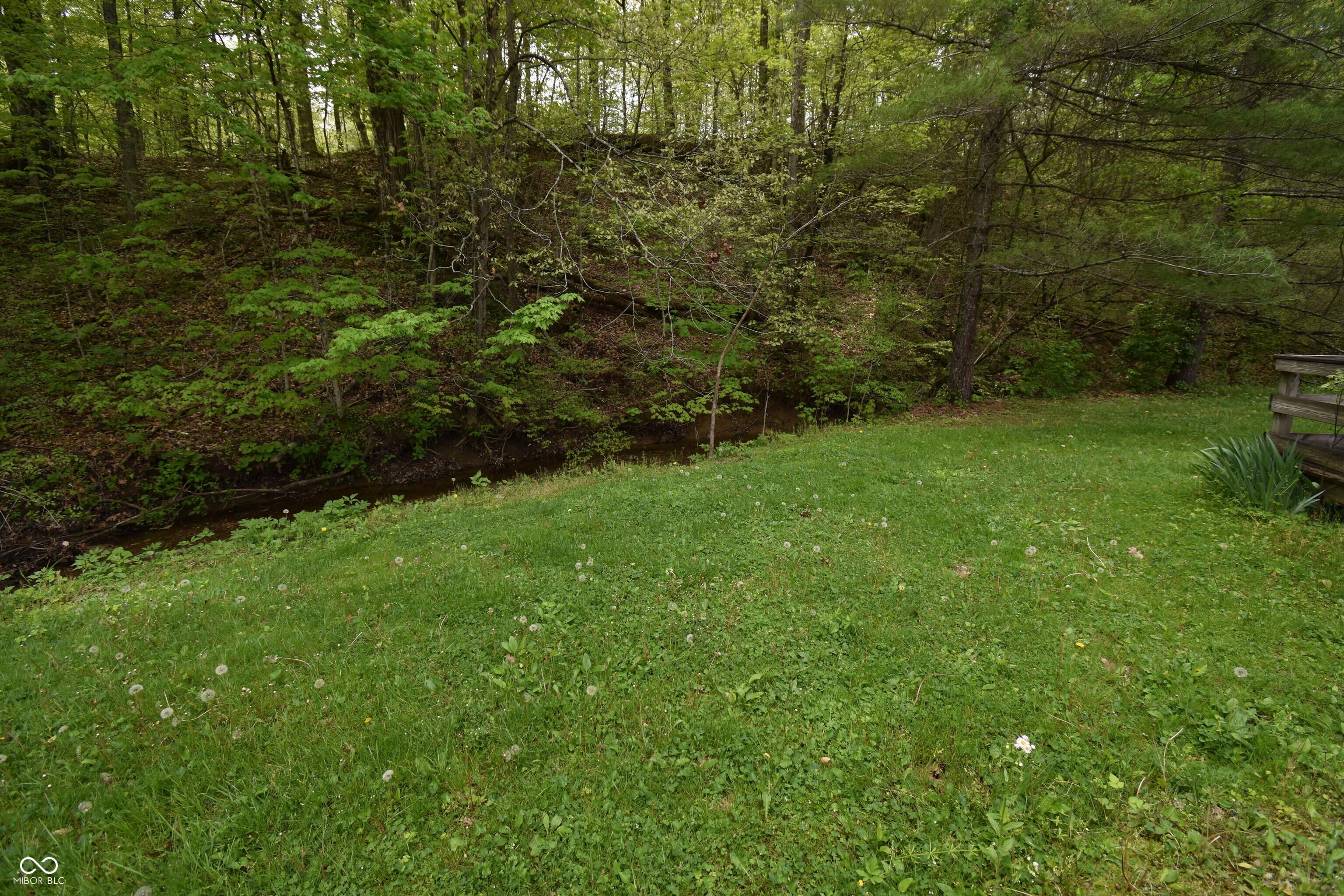 Photo #42