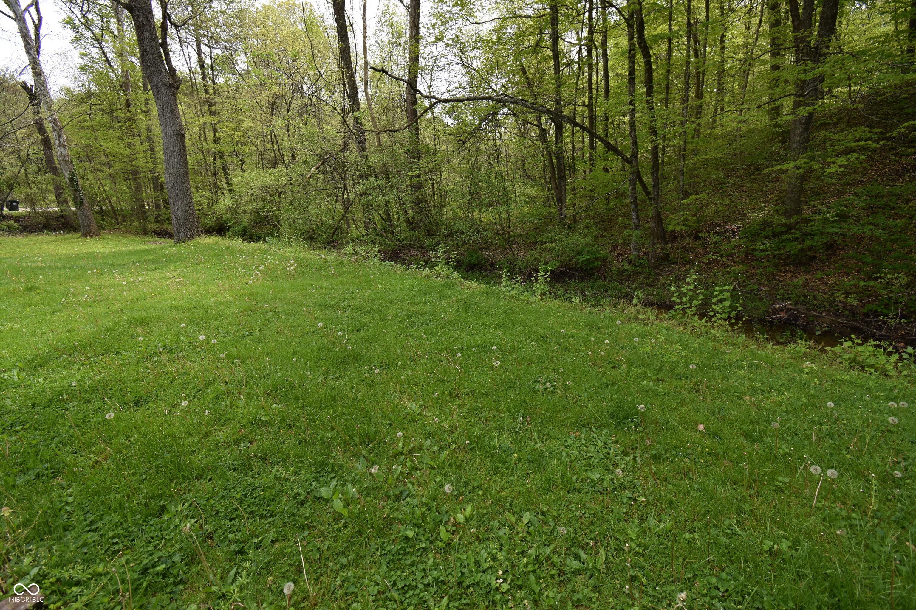 Photo #41
