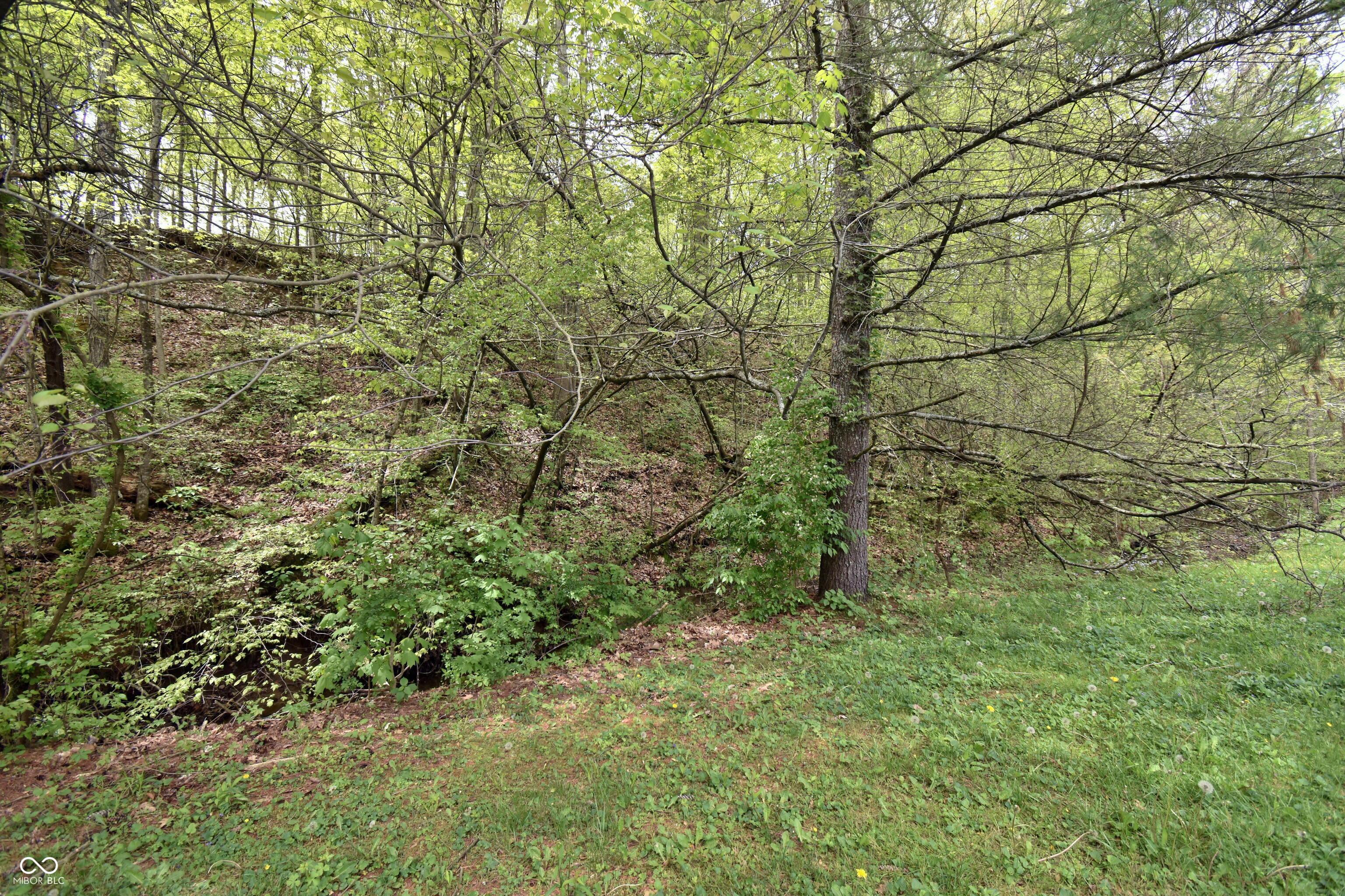 Photo #45